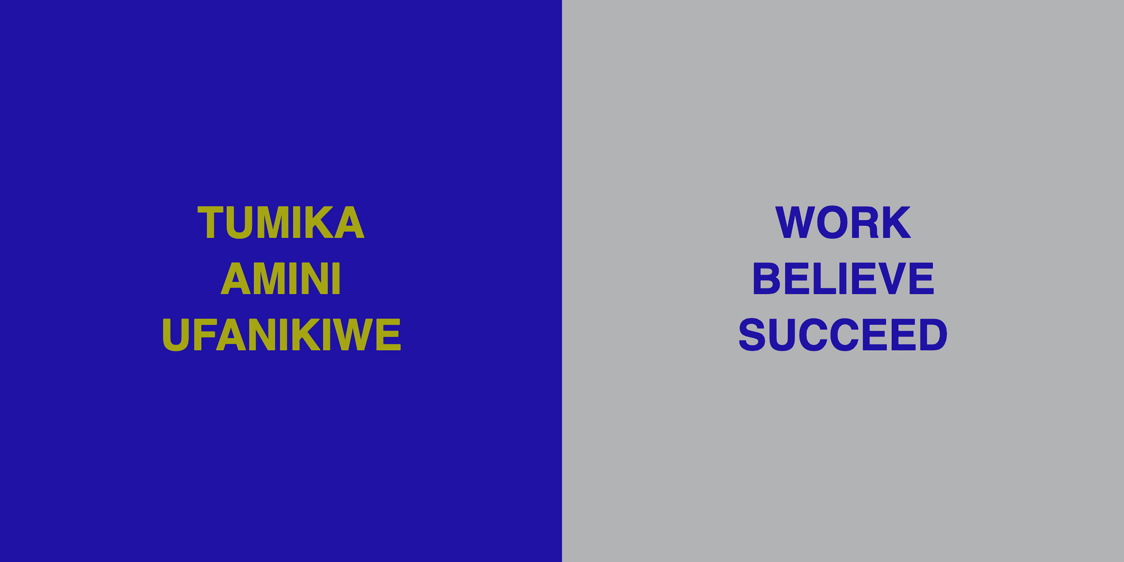 Words of Dzalaka: WORK BELIEVE SUCCEED