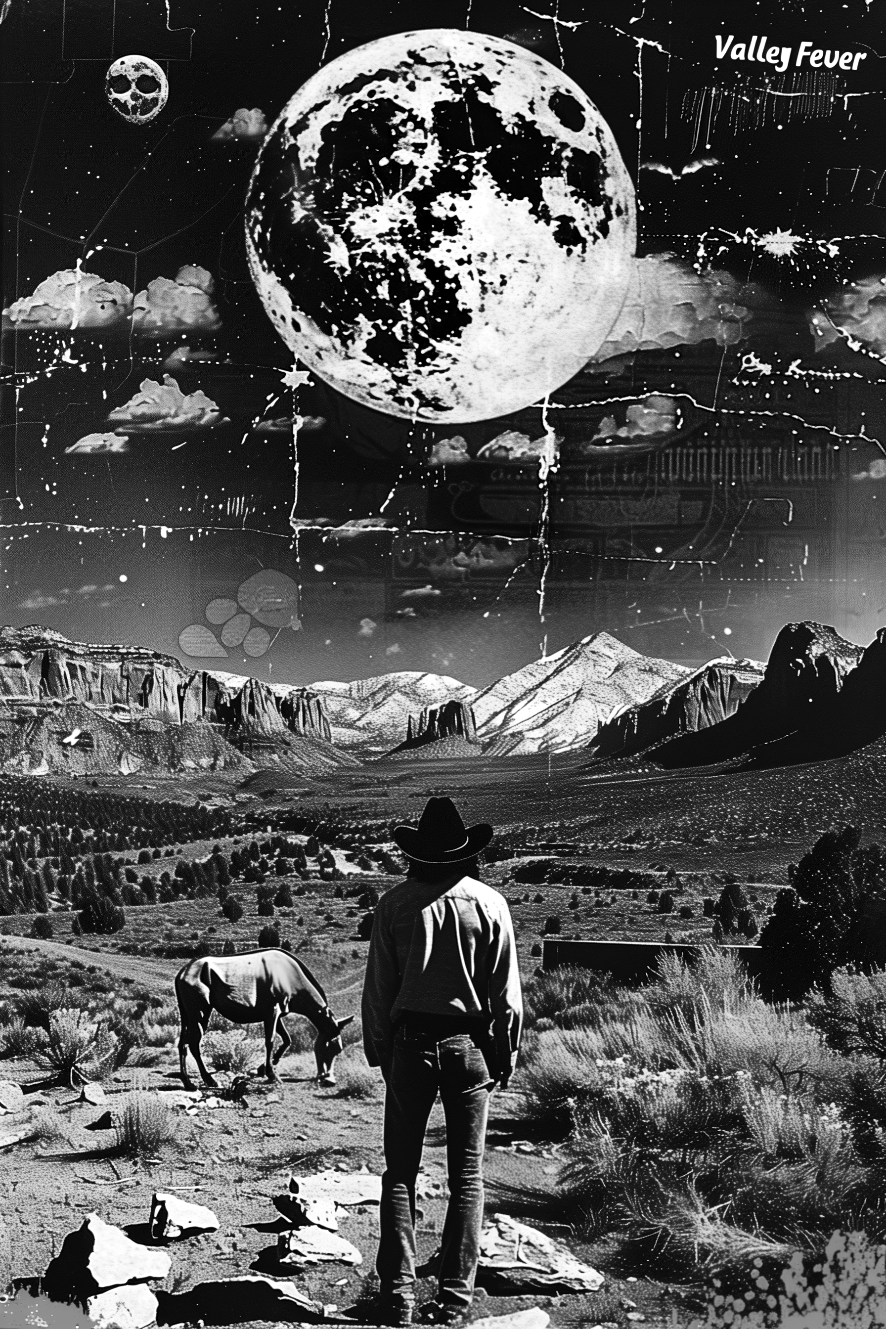 VALLEY FEVER