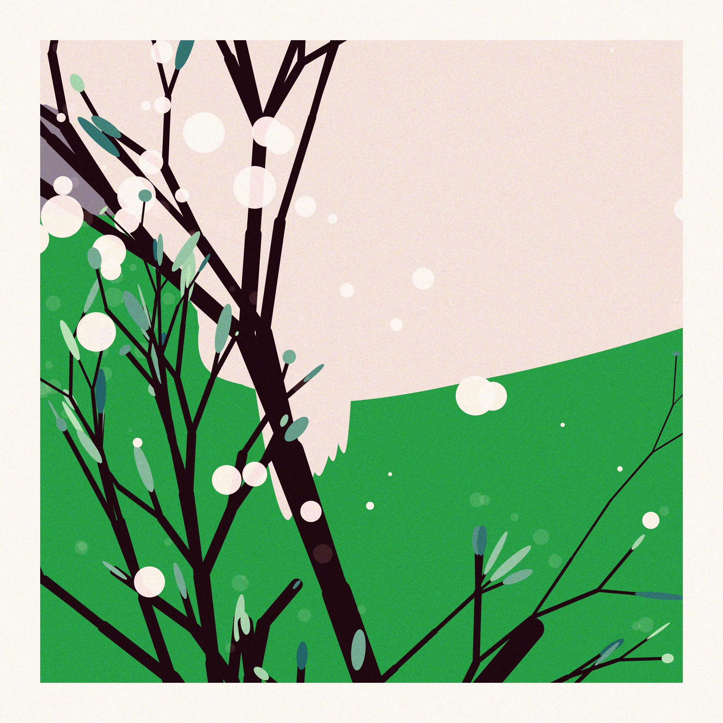 The Blossoms Behind the River