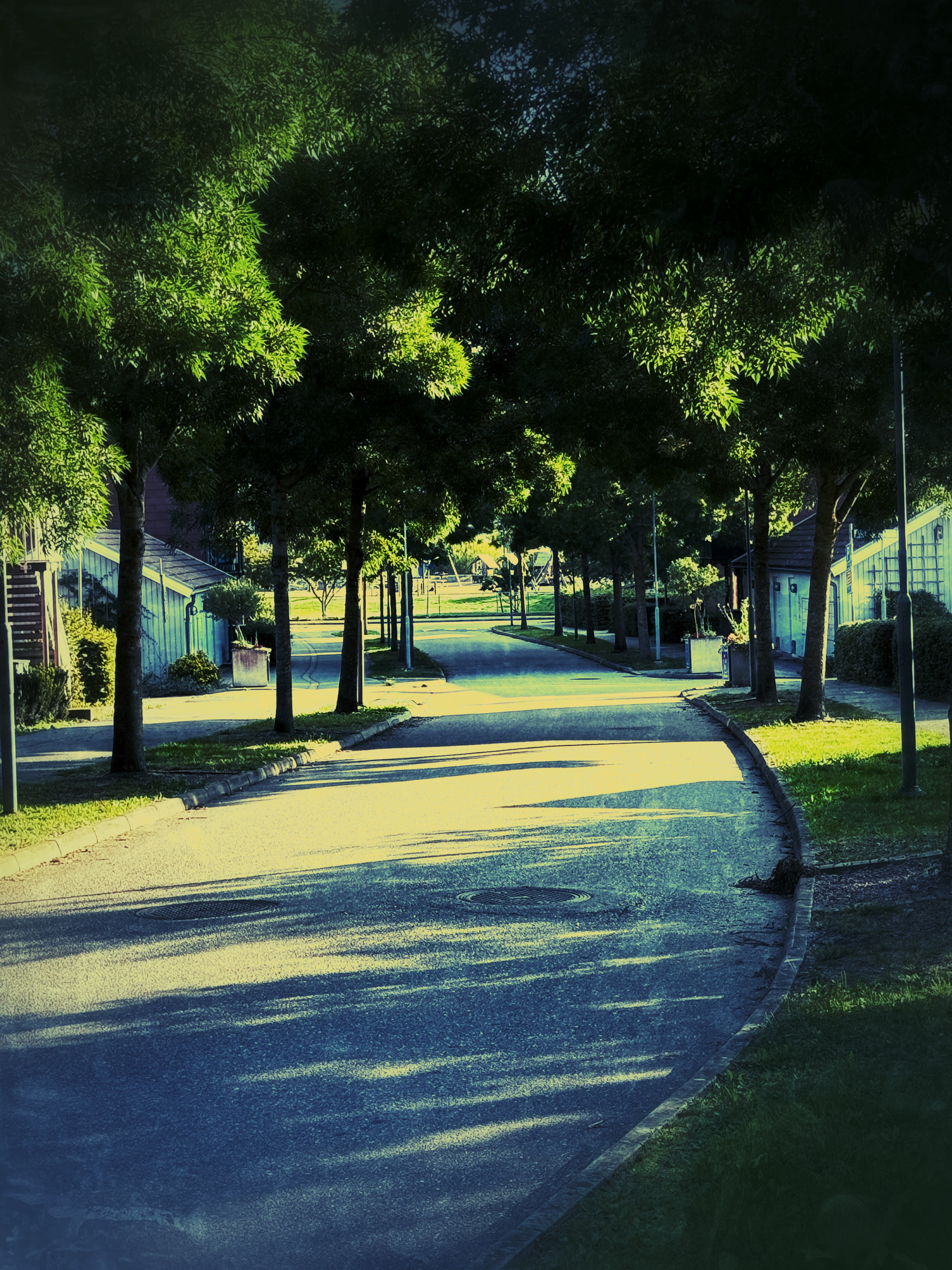My hood 6th September 2024