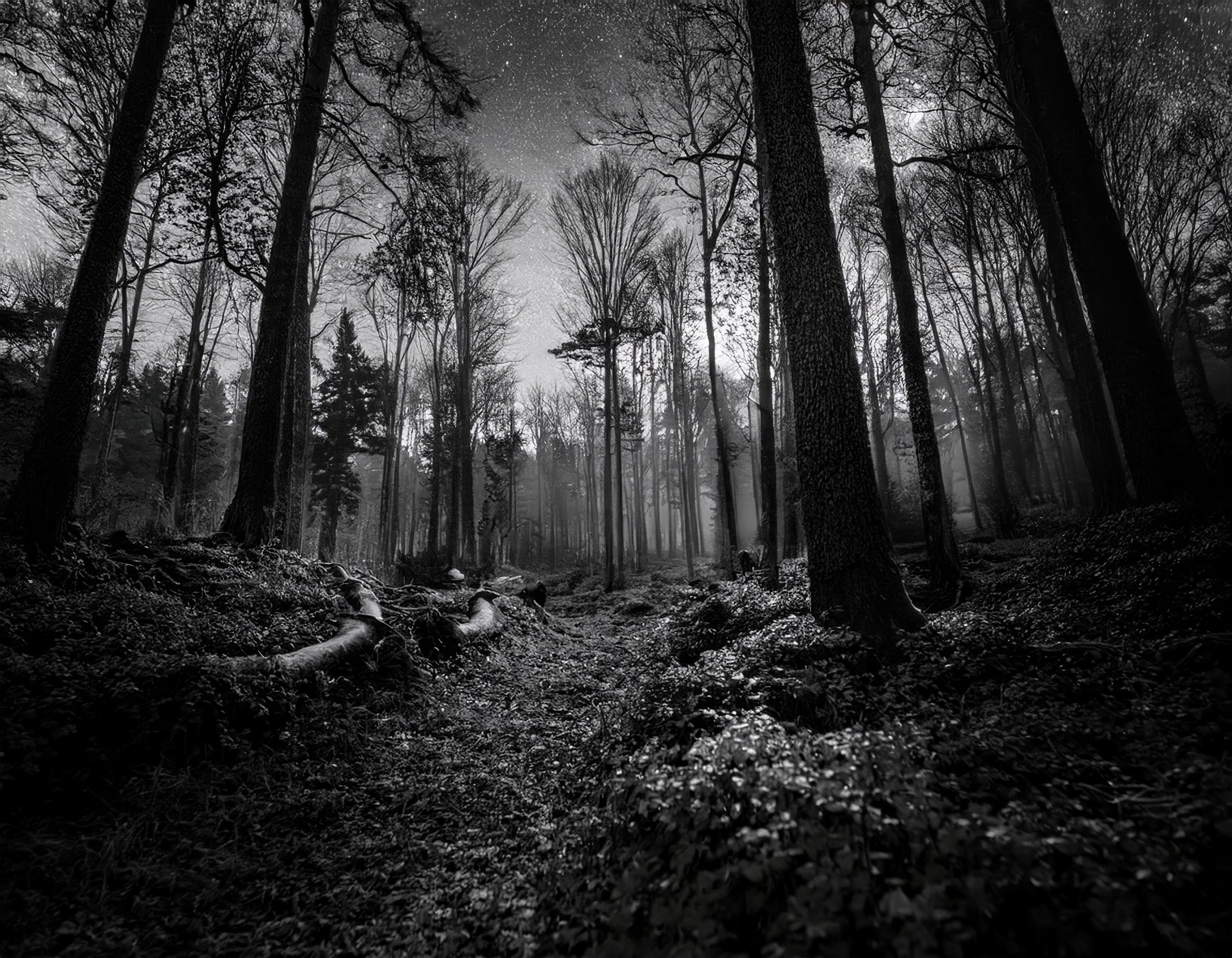 Labyrinth #36