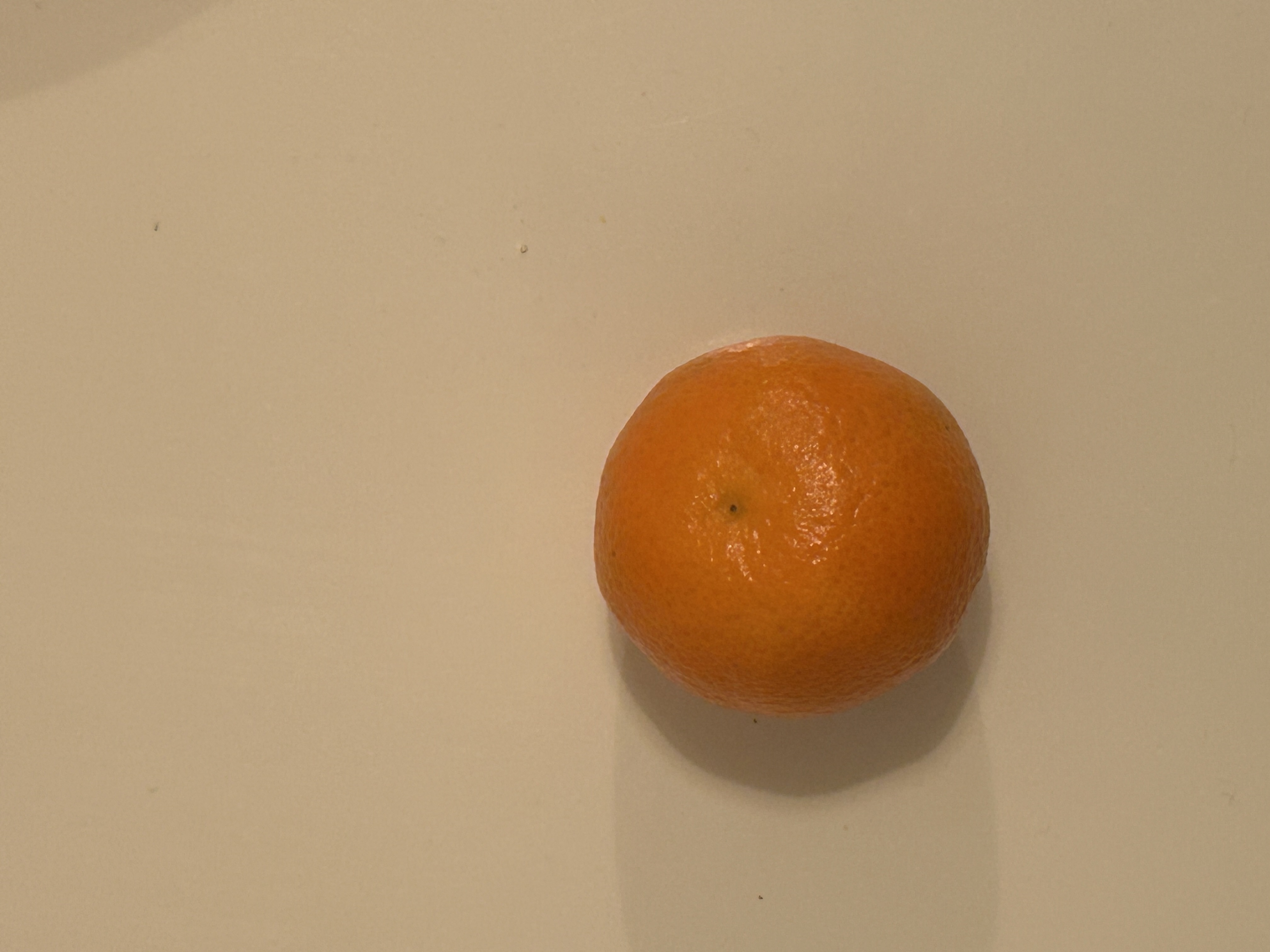 the lonely orange