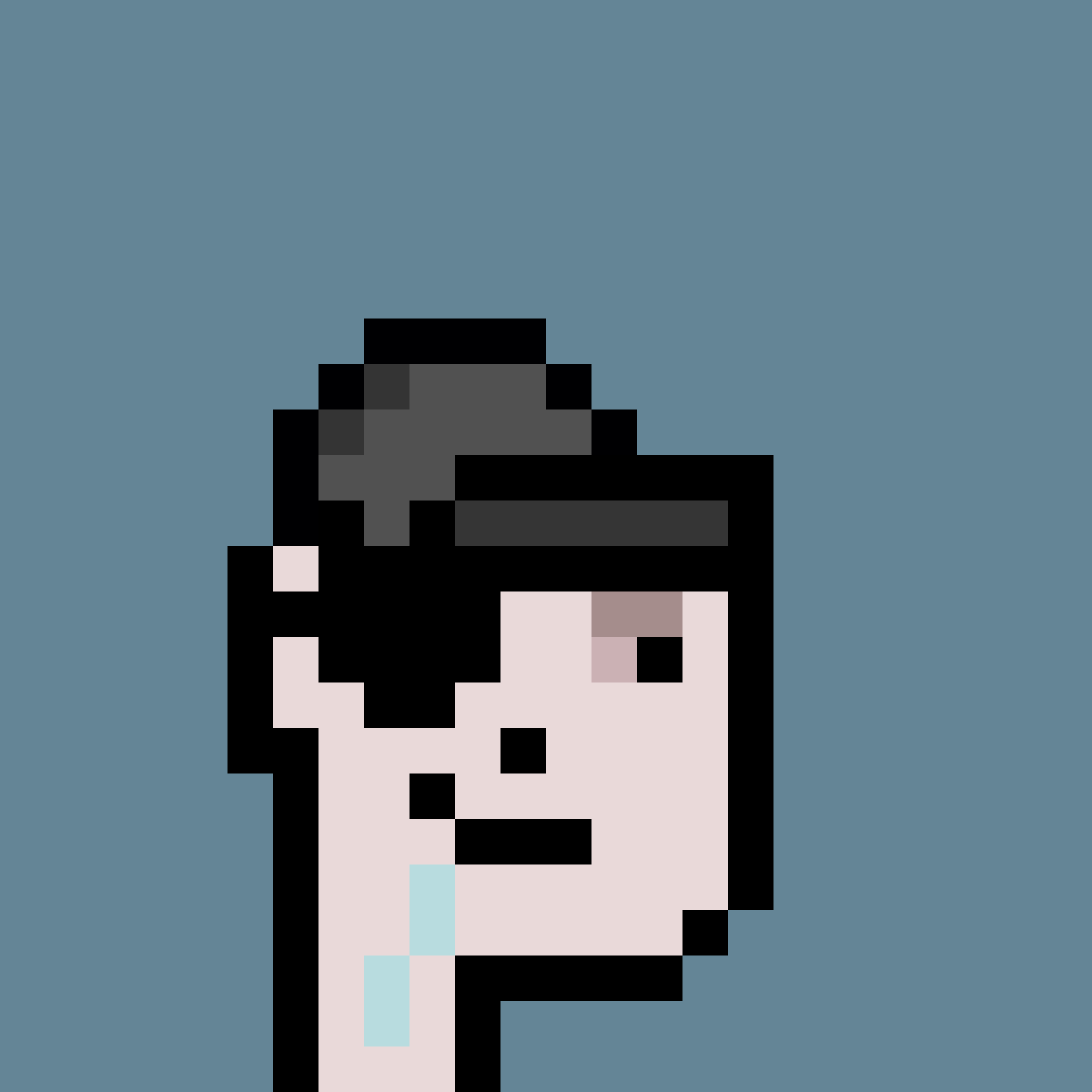 PNUKS #2454