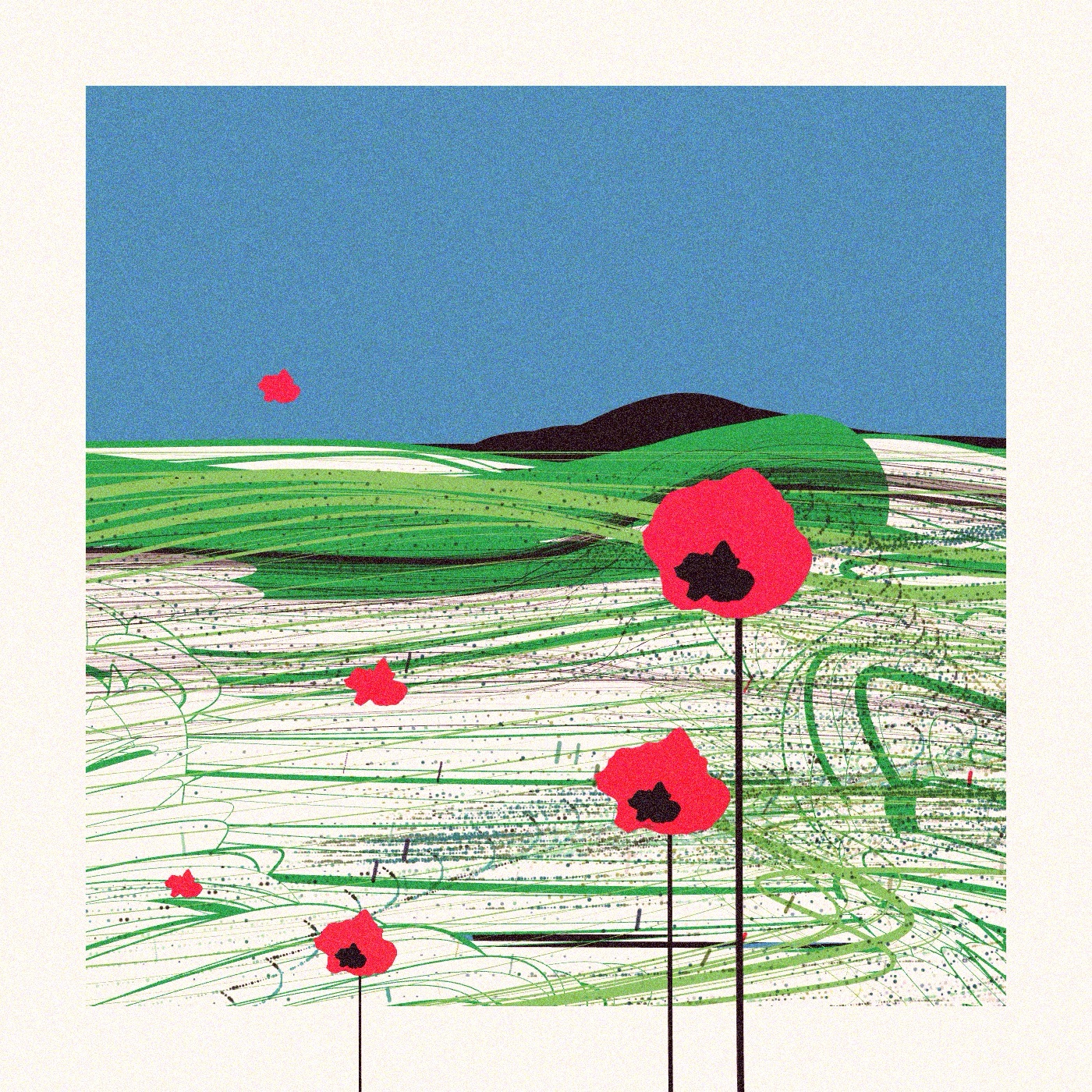 Poppies of Normandy