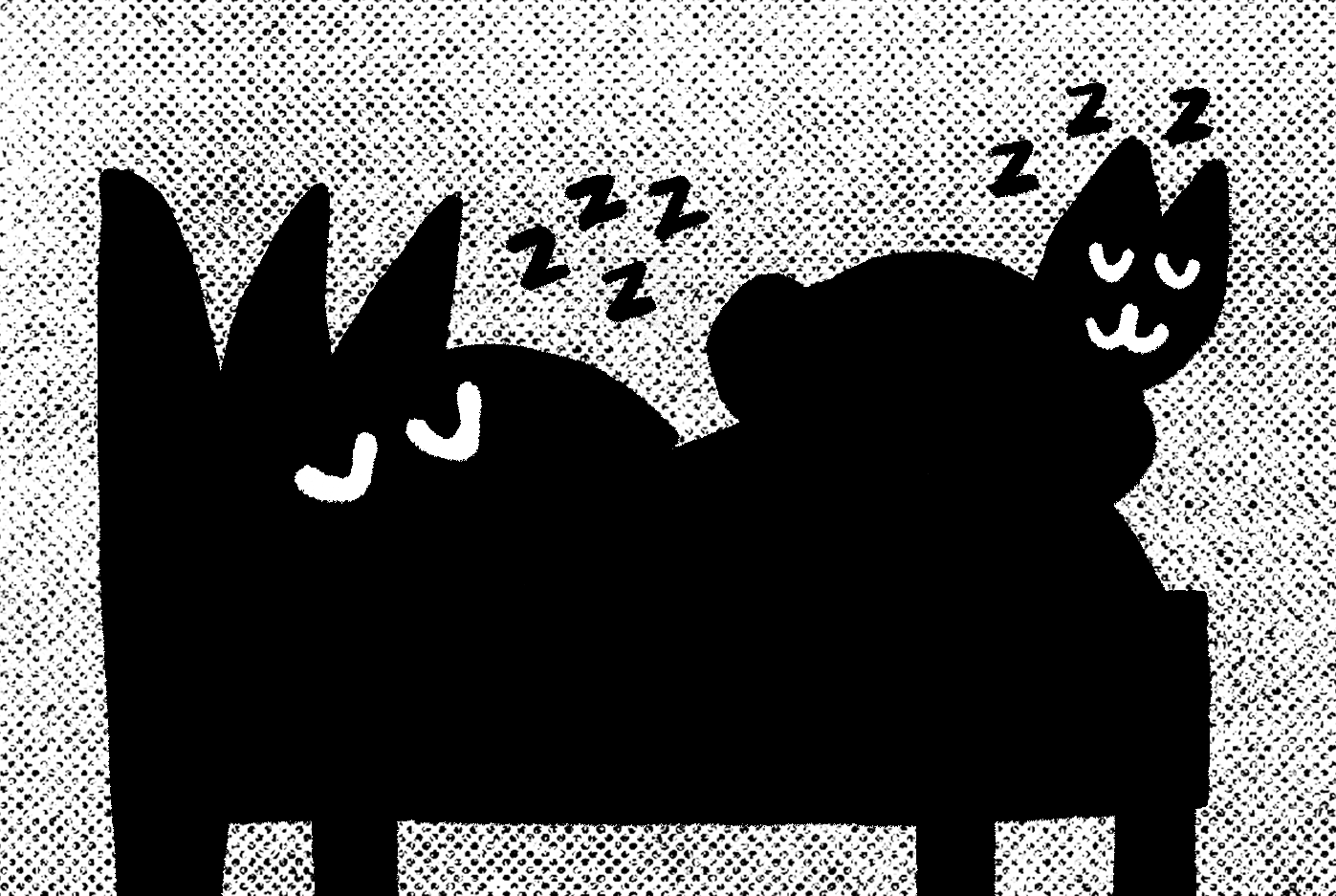 The Best Sleep