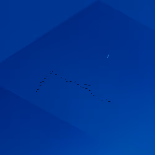 building BlueOM
