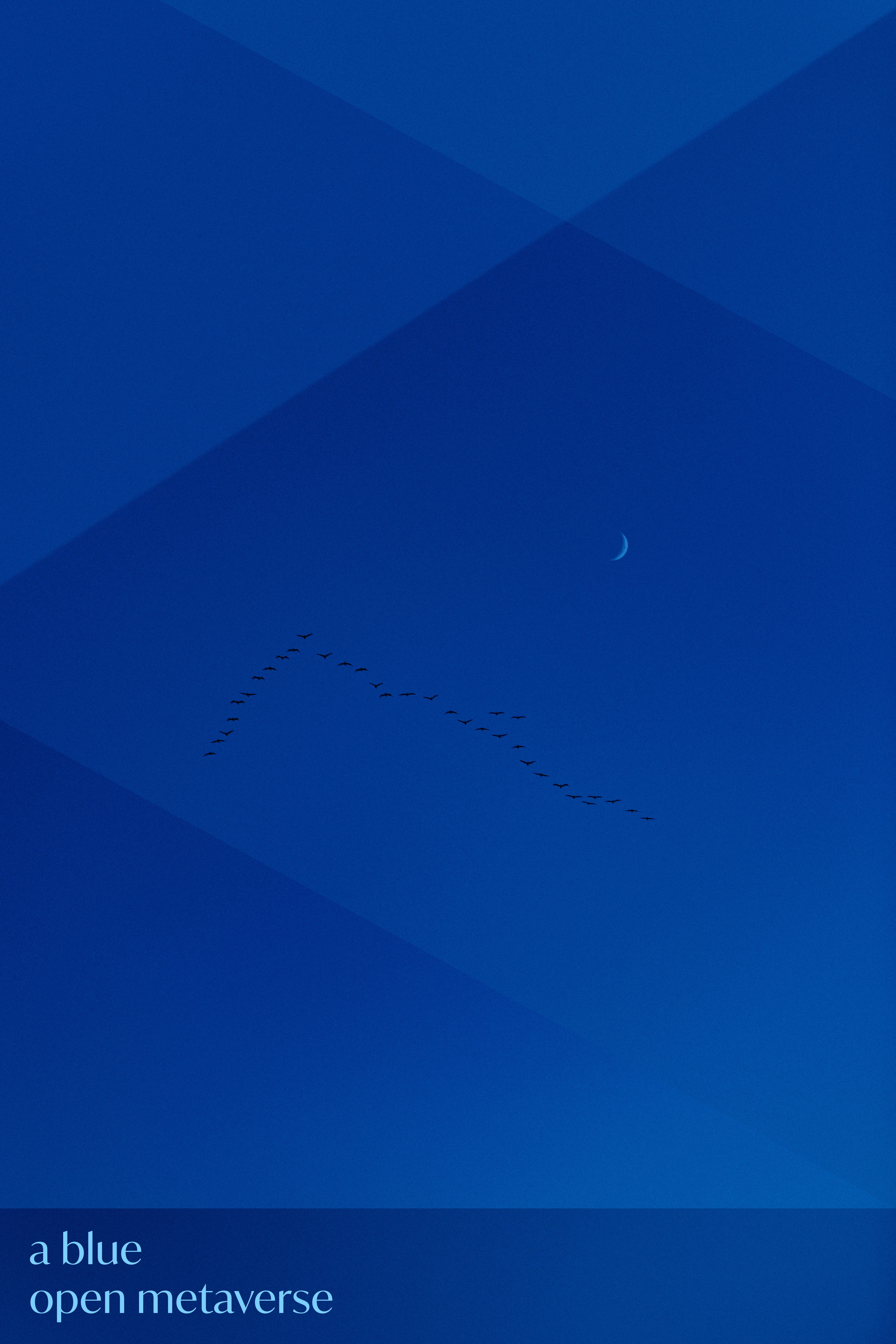 building BlueOM
