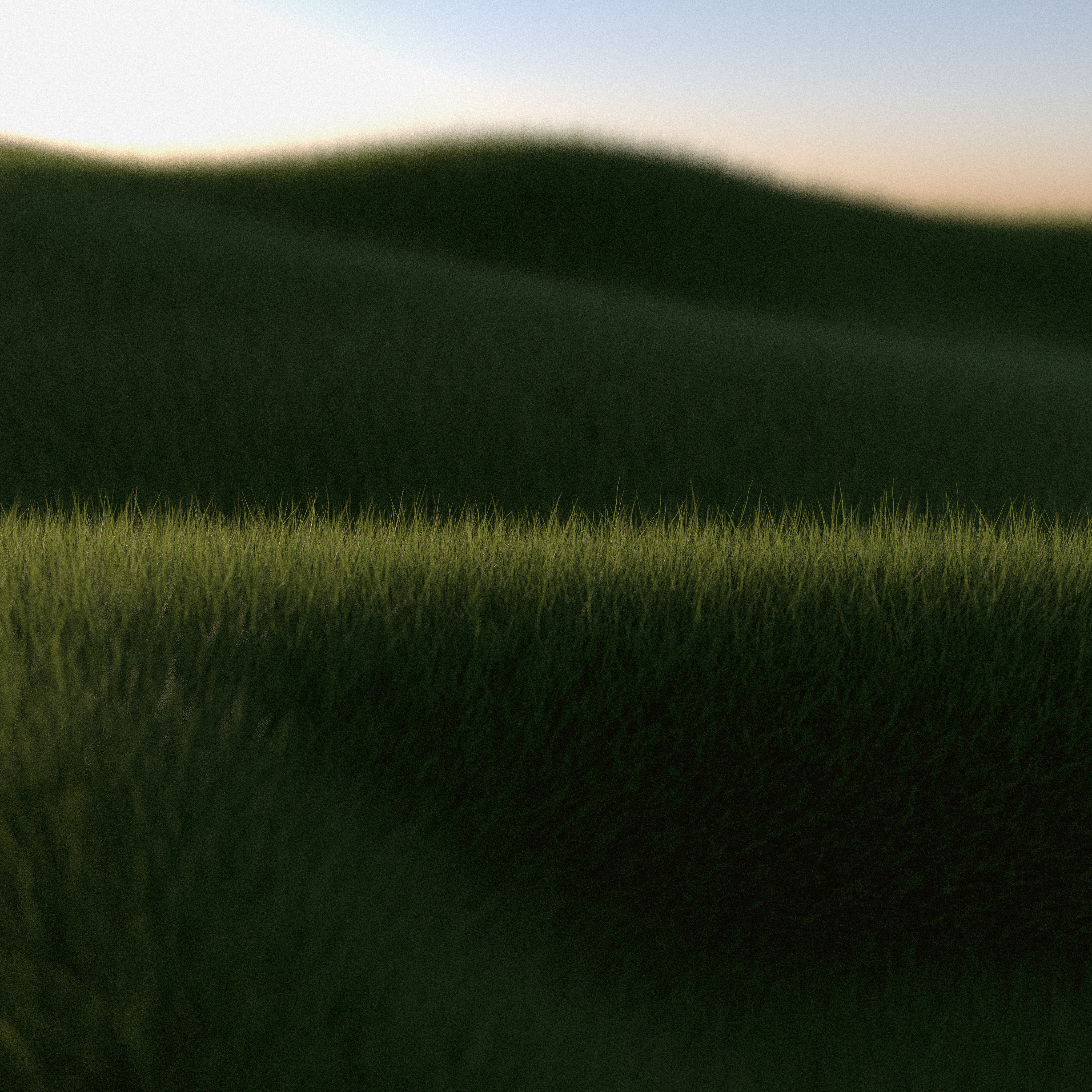 touch grass.