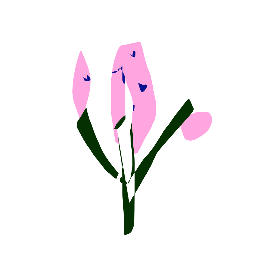 otras flores3