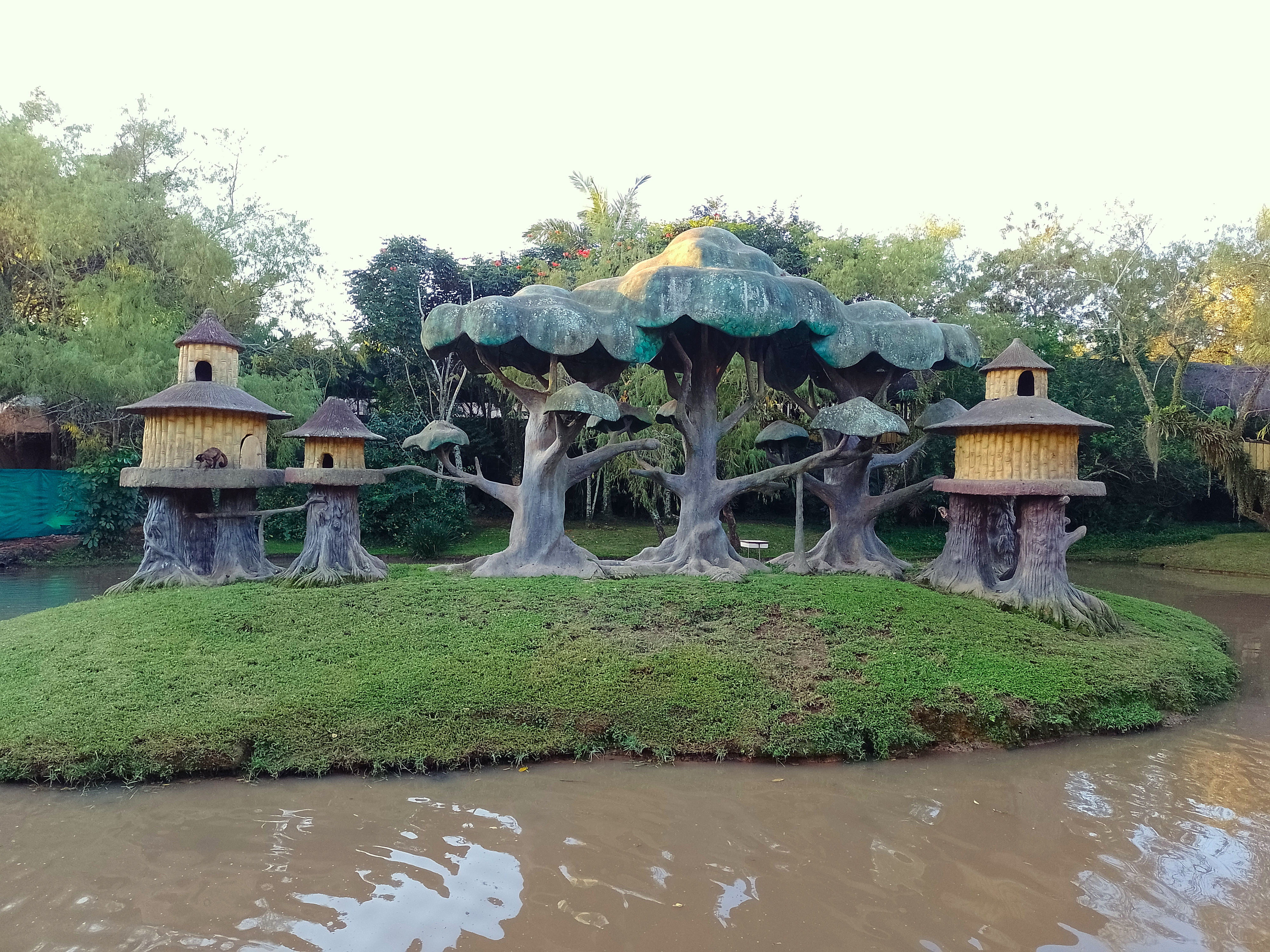 Island of apes