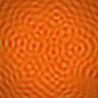 FlowSigil #329