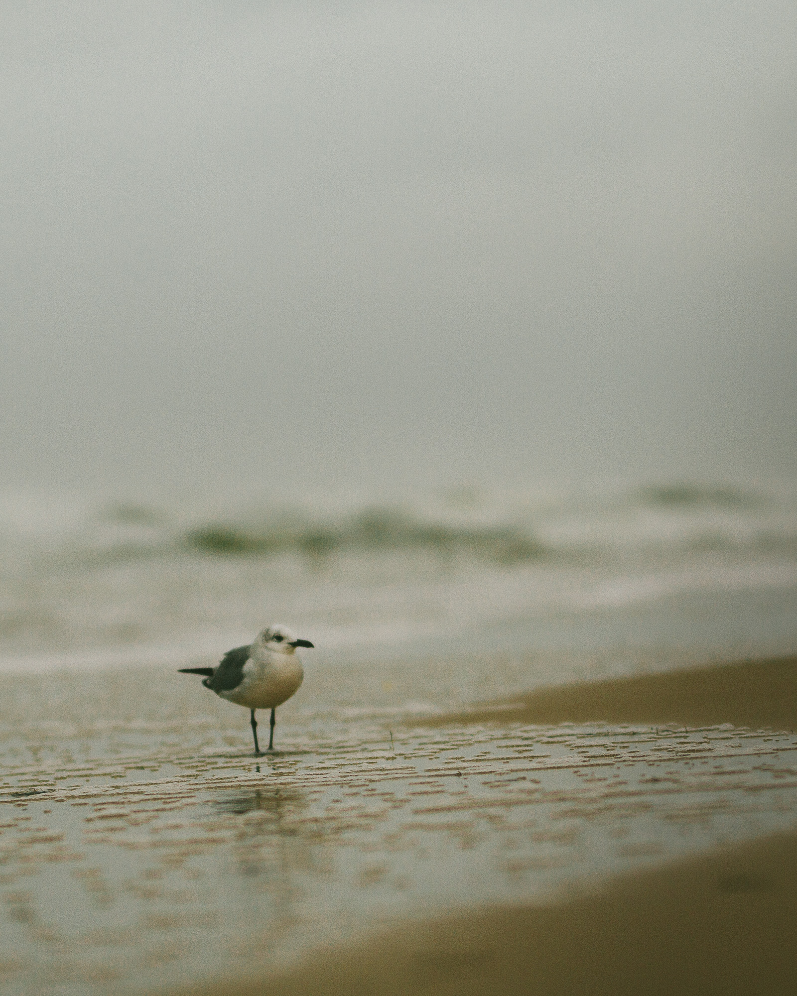 Alone