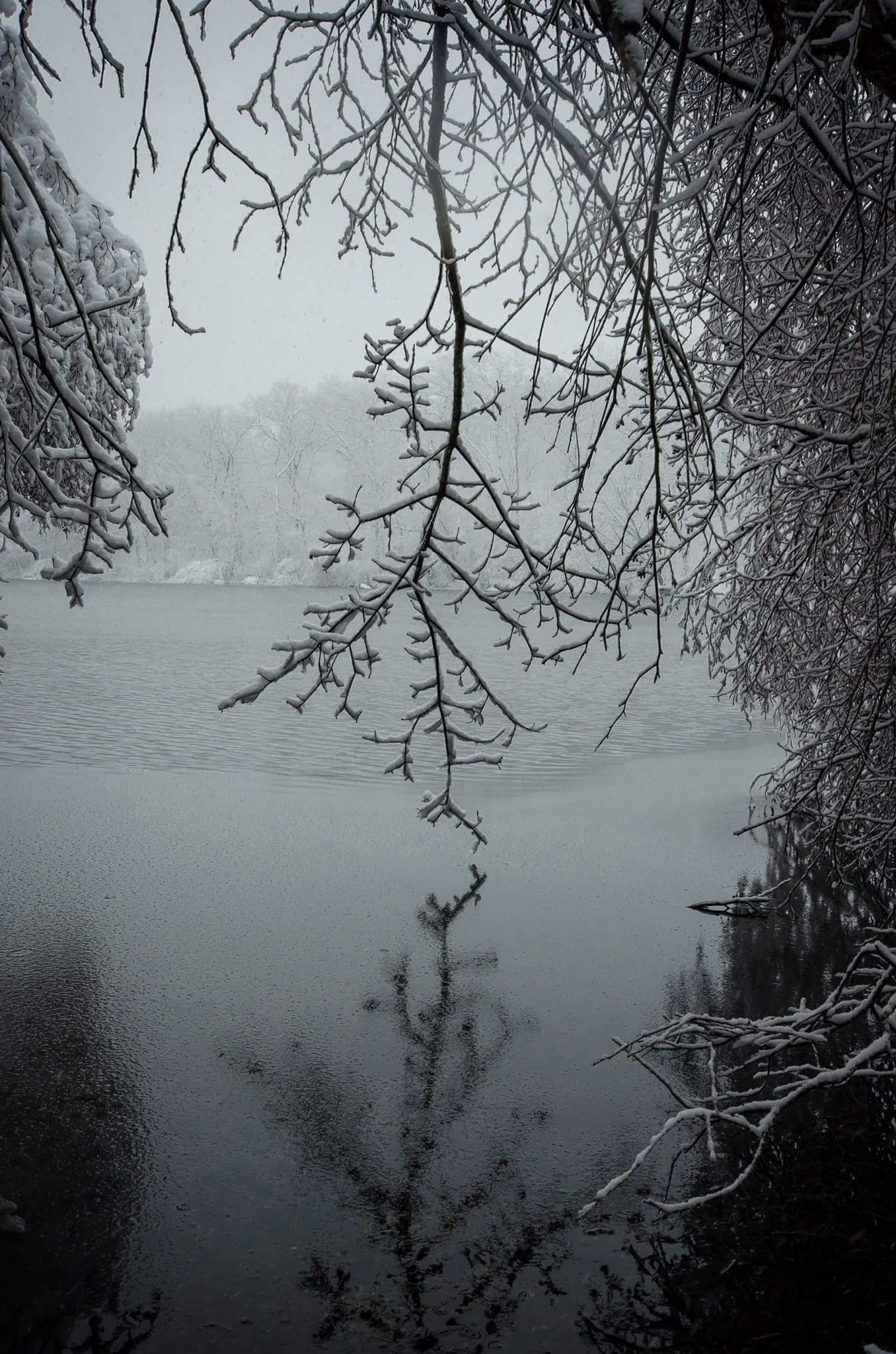 The Quiet After the Storm