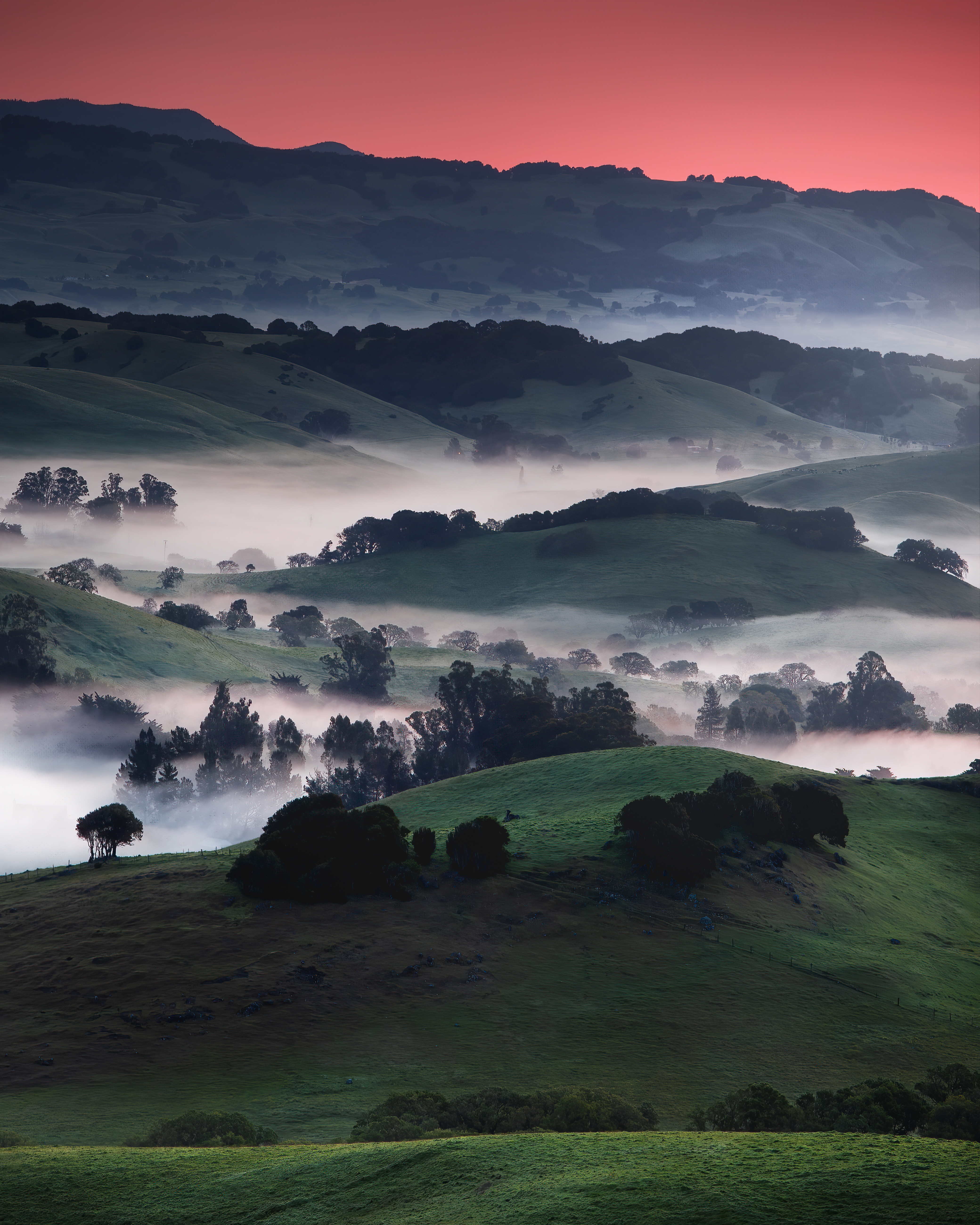 Petaluma Sunrise