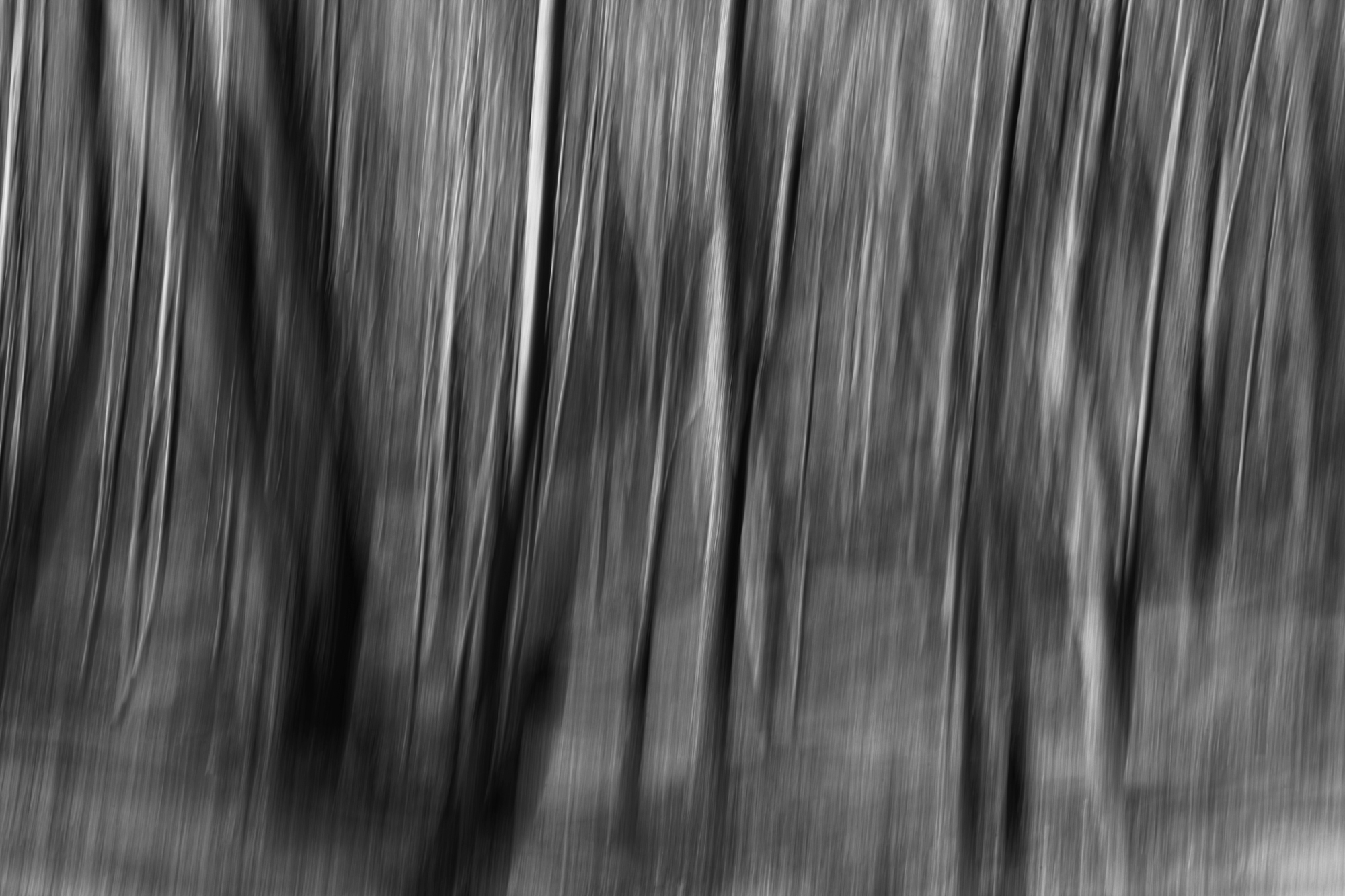 Abstract #1