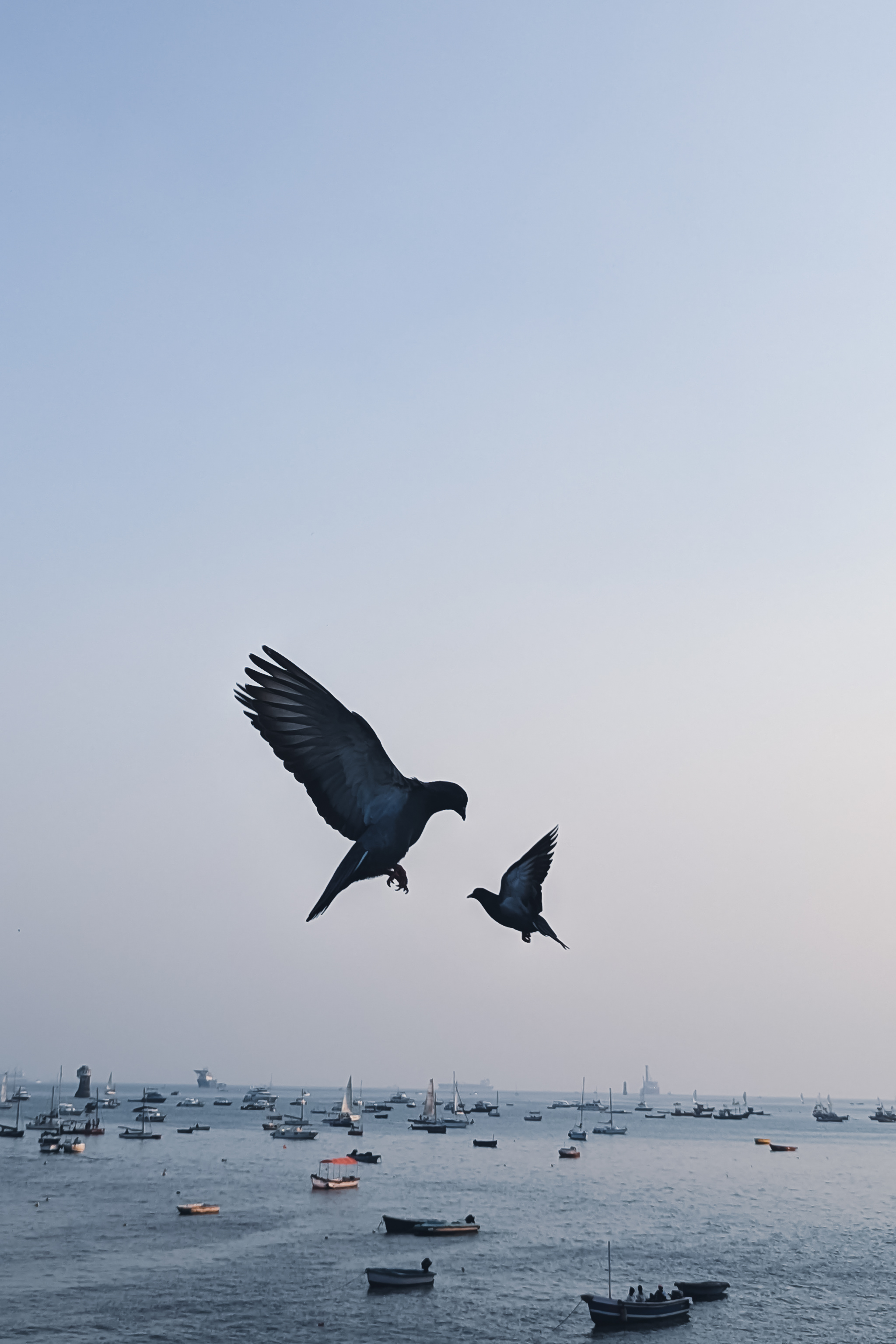 Wings of Wonder #6