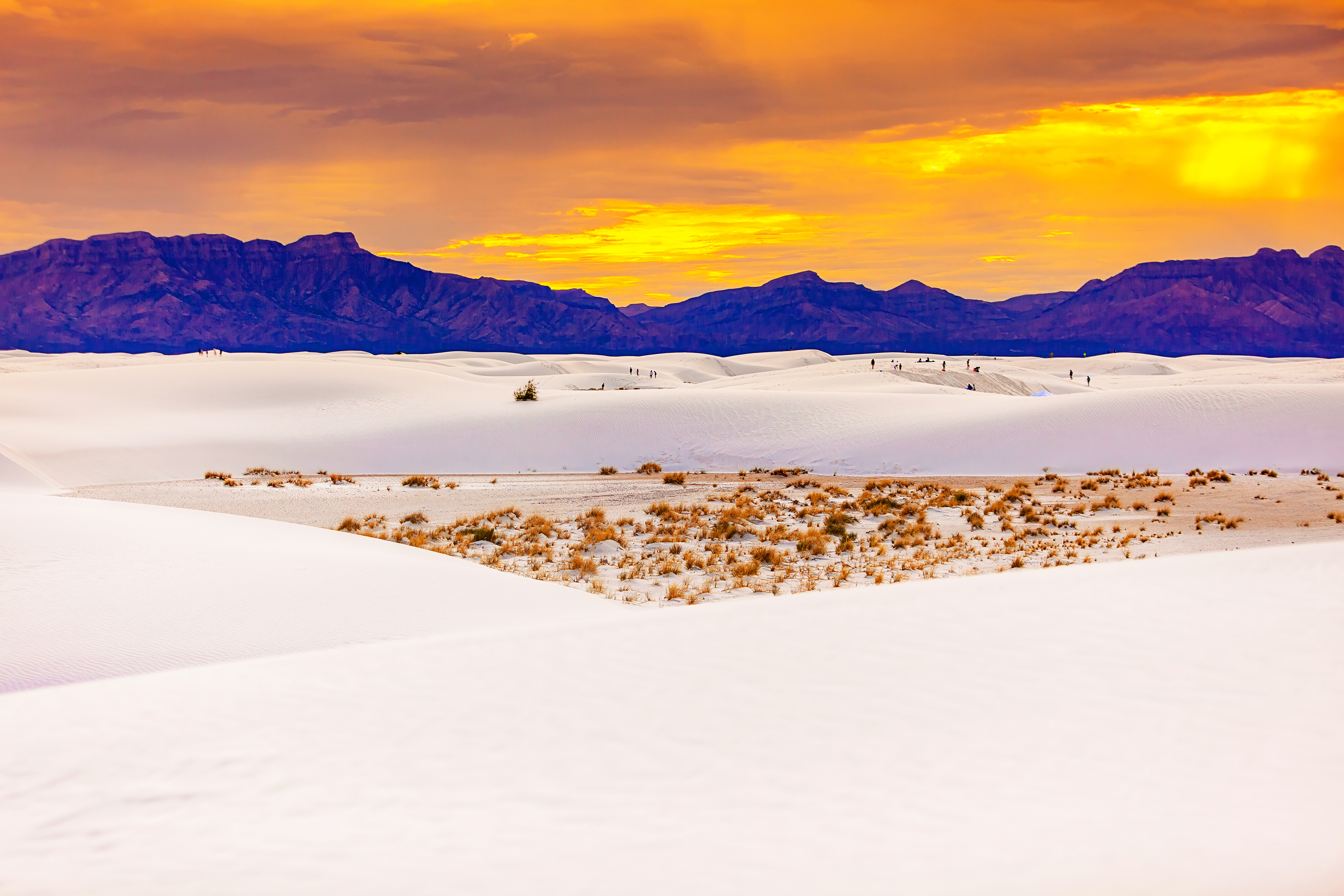 White Sands at Sunset #101