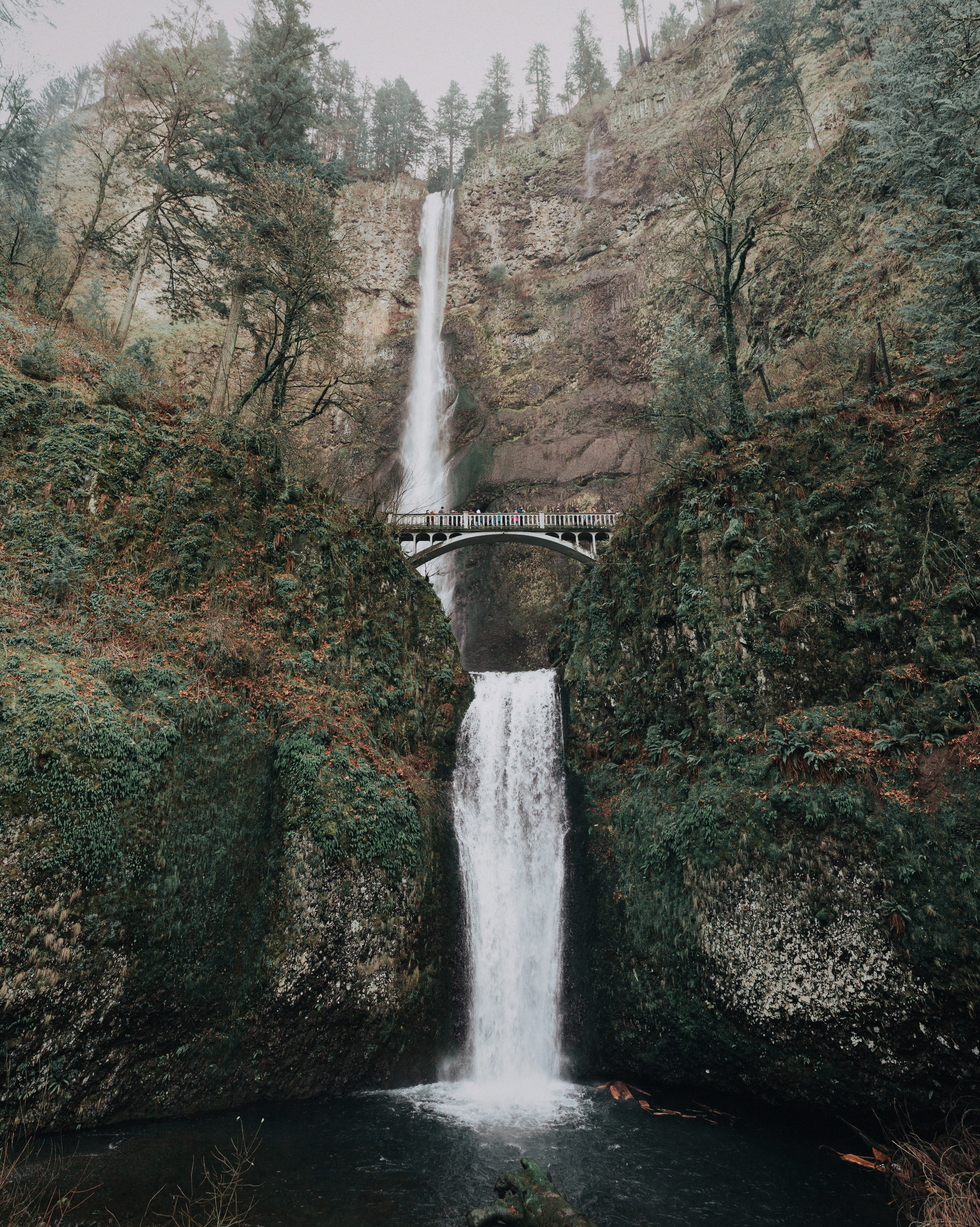 The Weight of Water