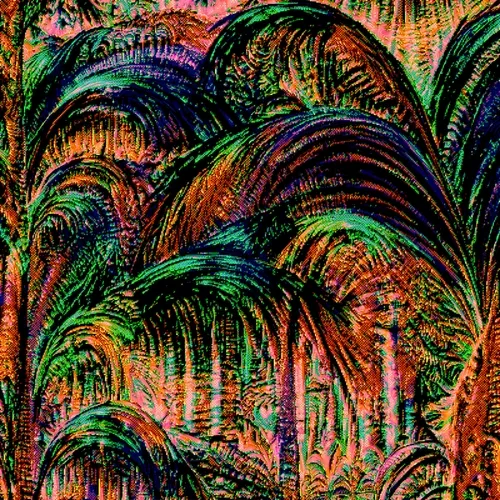 Palms - IV