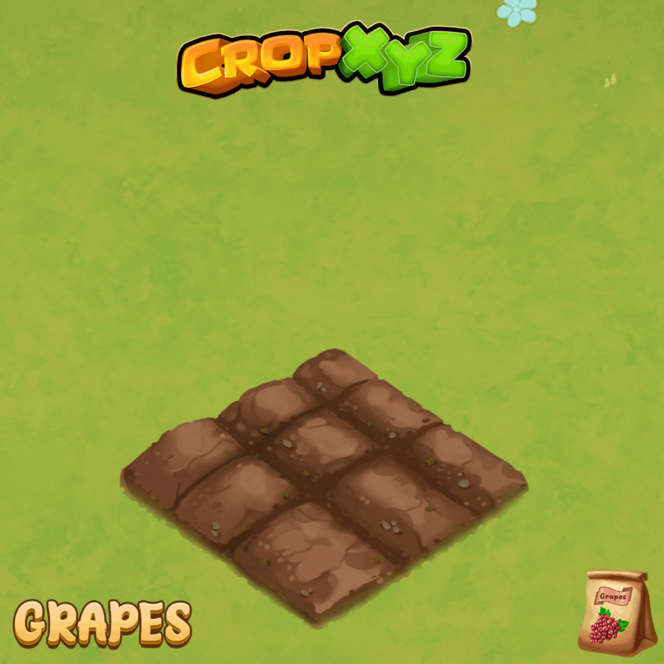 Grapes