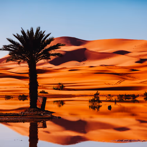 Sahara of Morocco