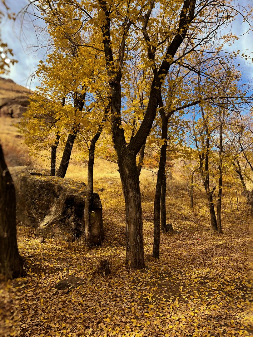Autumn Beauty #39