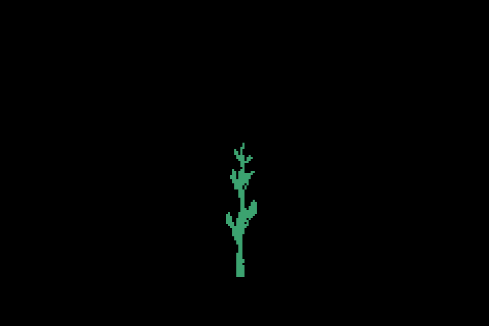 Bloom #6, Autonomint X Mahya Rad.