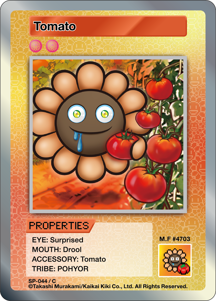 Tomato SP-044 EN