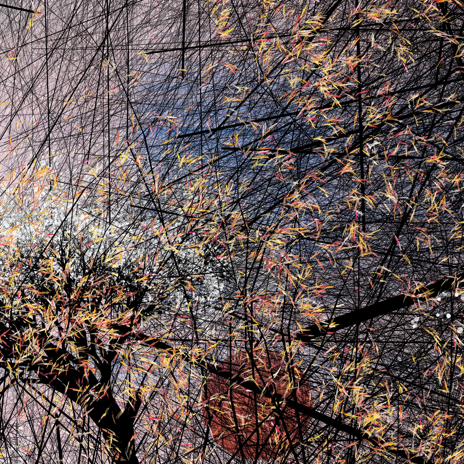 conversation with the wind