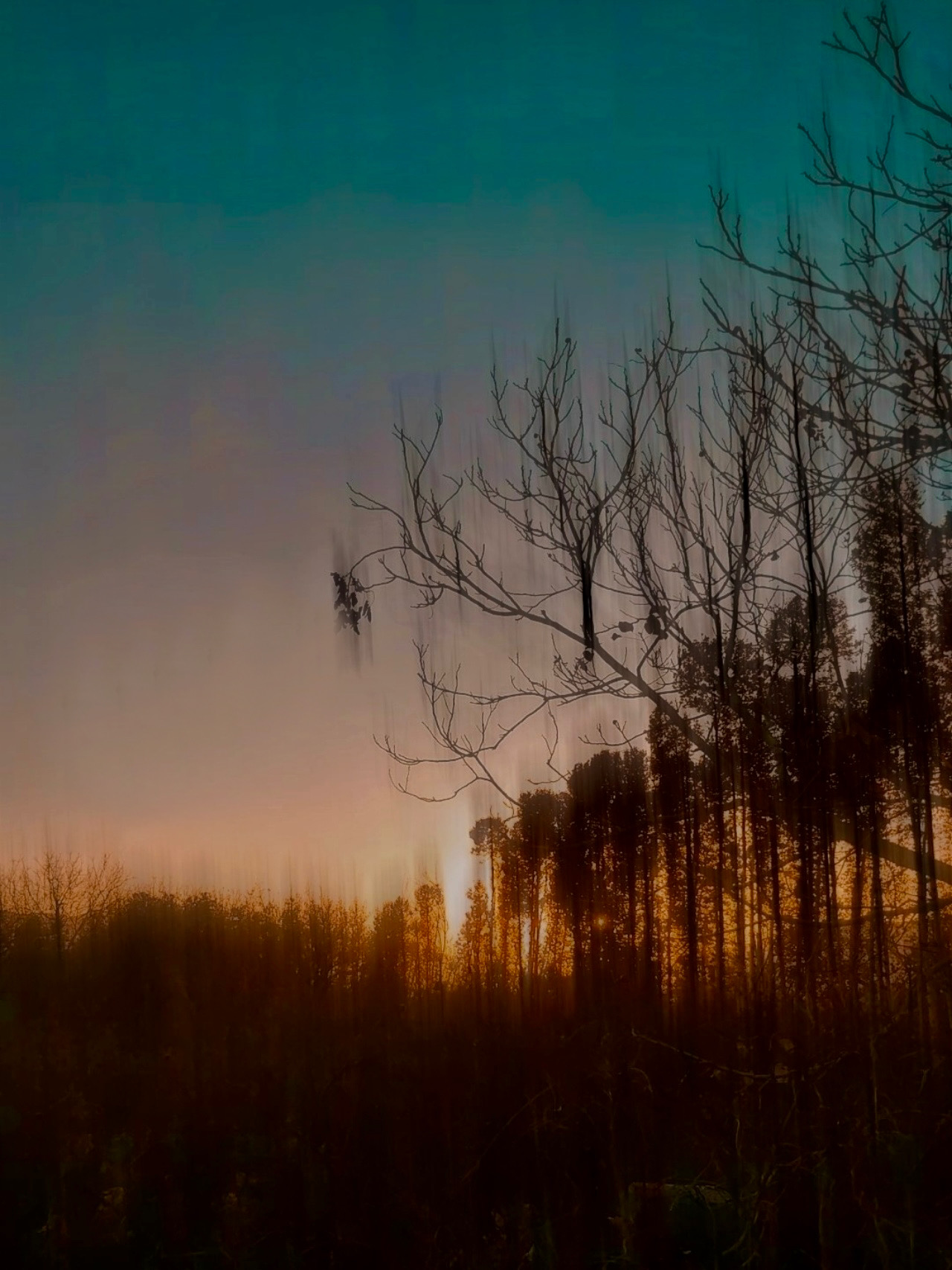 Whispers of Twilight