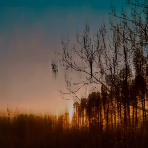 Whispers of Twilight