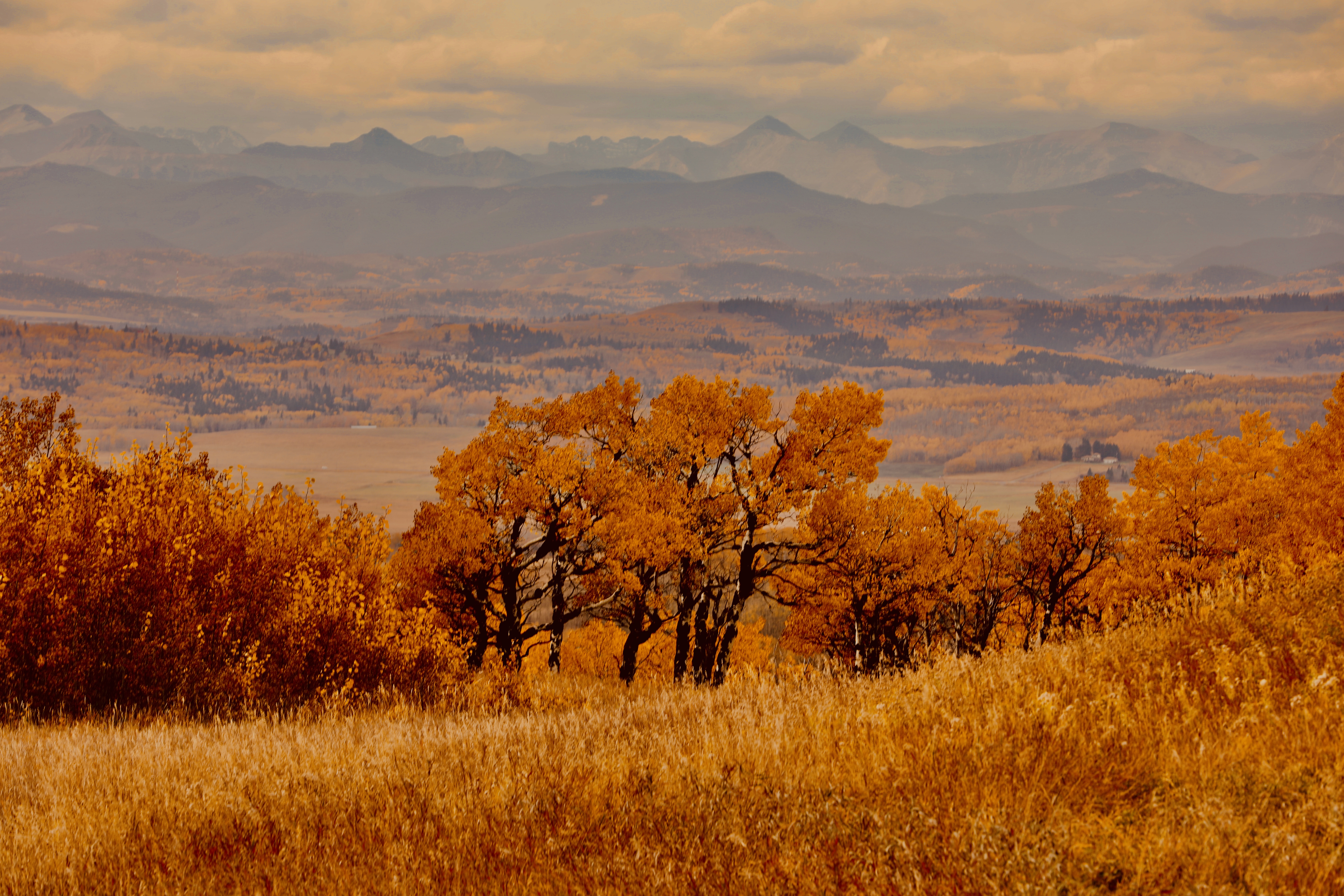 Dreaming of Autumn