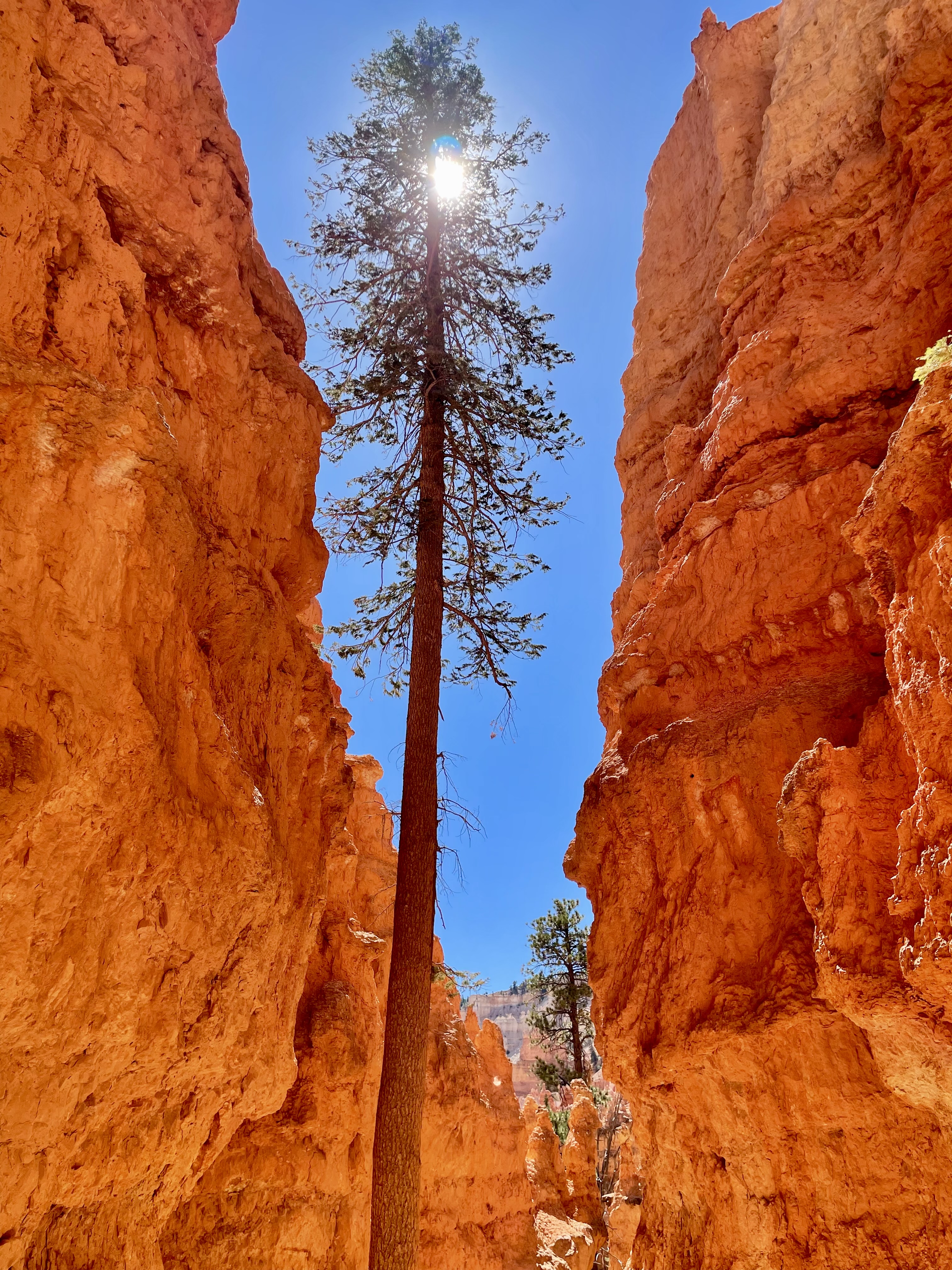 Bryce Canyon, Utah 🏜️