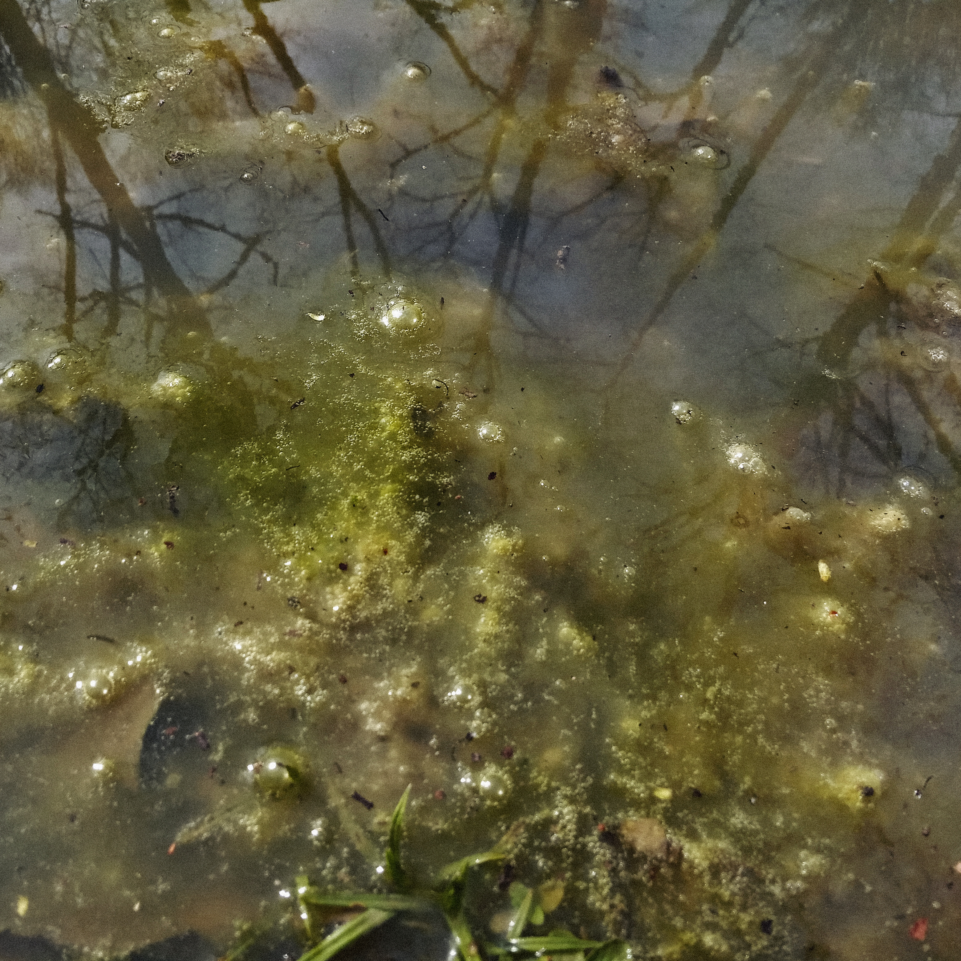 Spectacular sludge