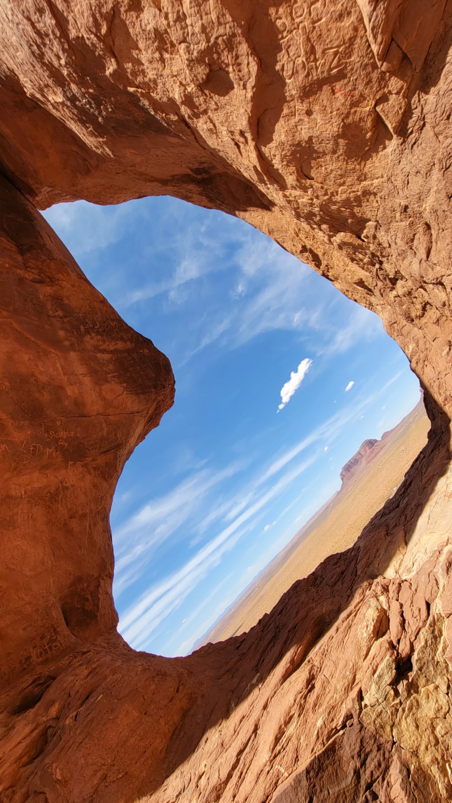A View Through Nature's Window