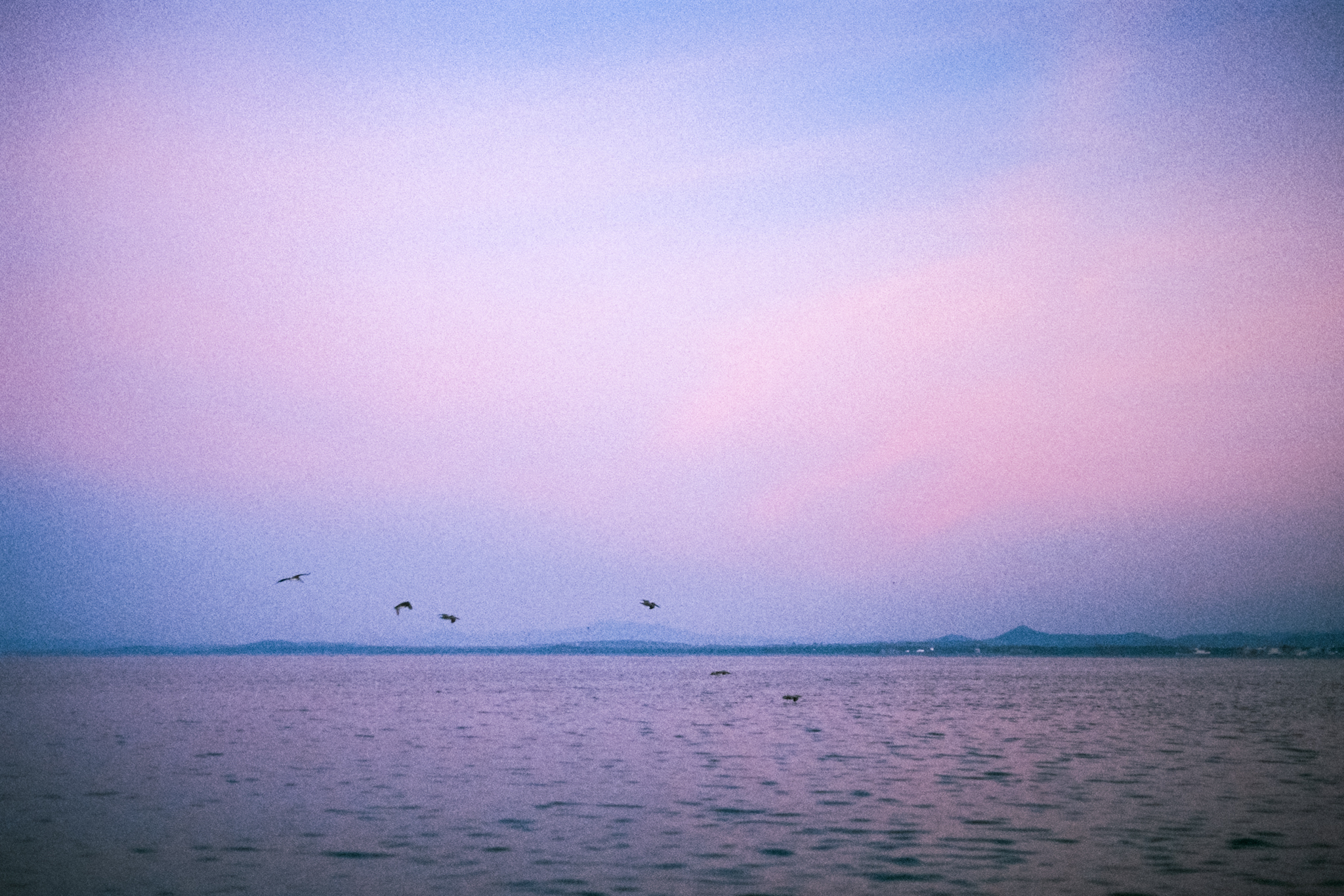 A wind of invisible voices