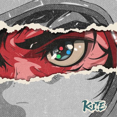 FLY THE KITE