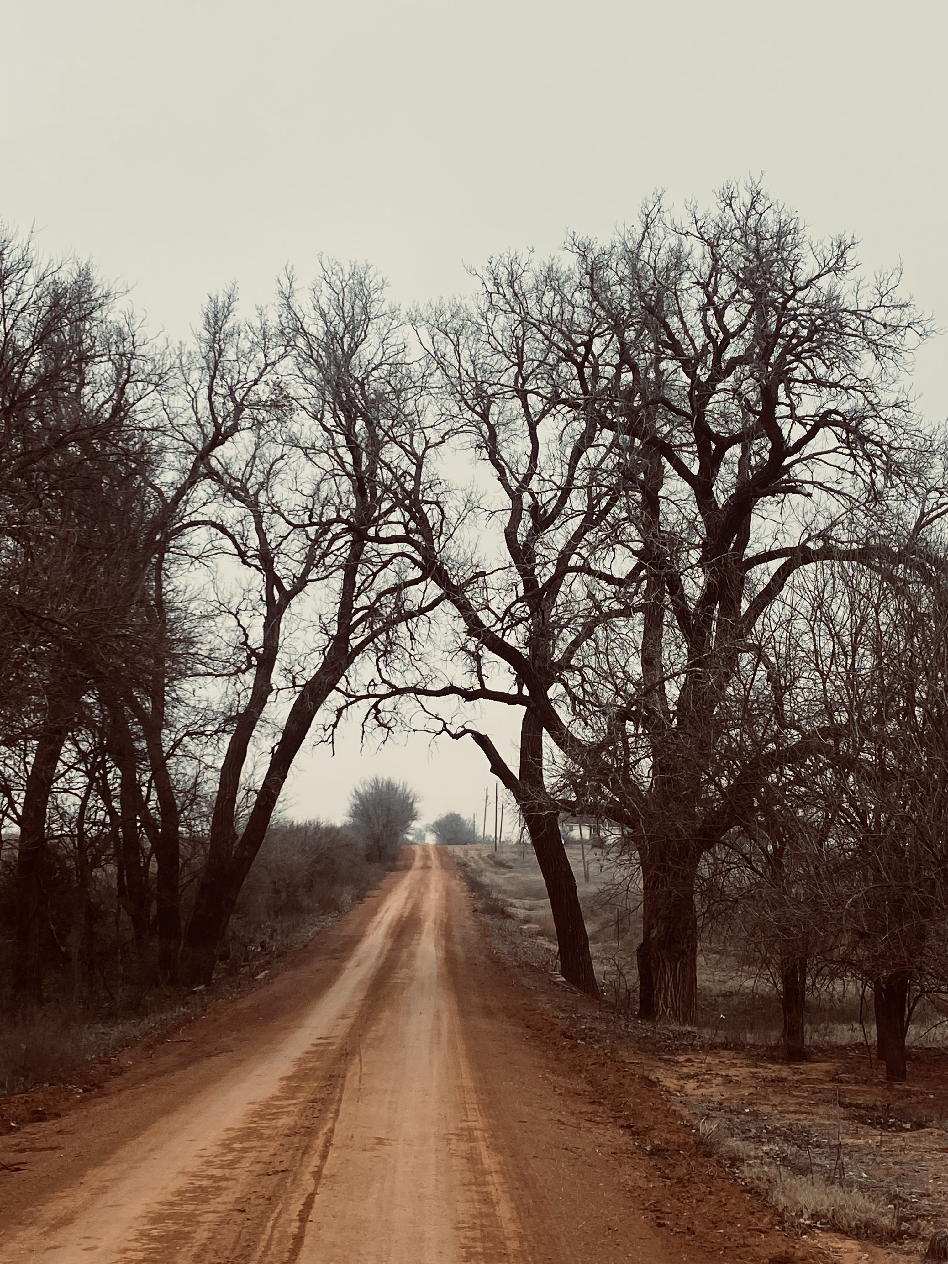 Country Roads