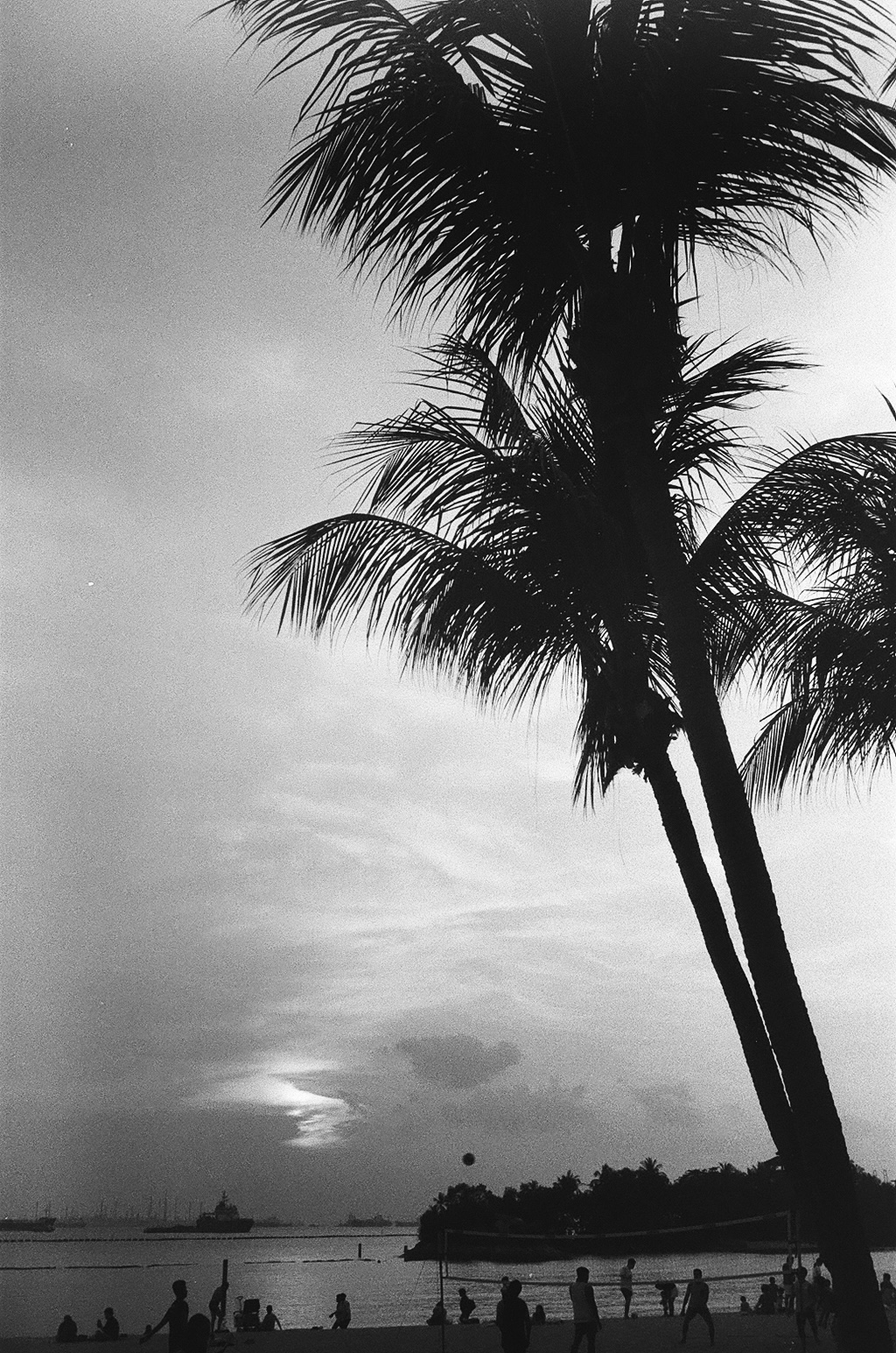 Monochrome Moments - 11