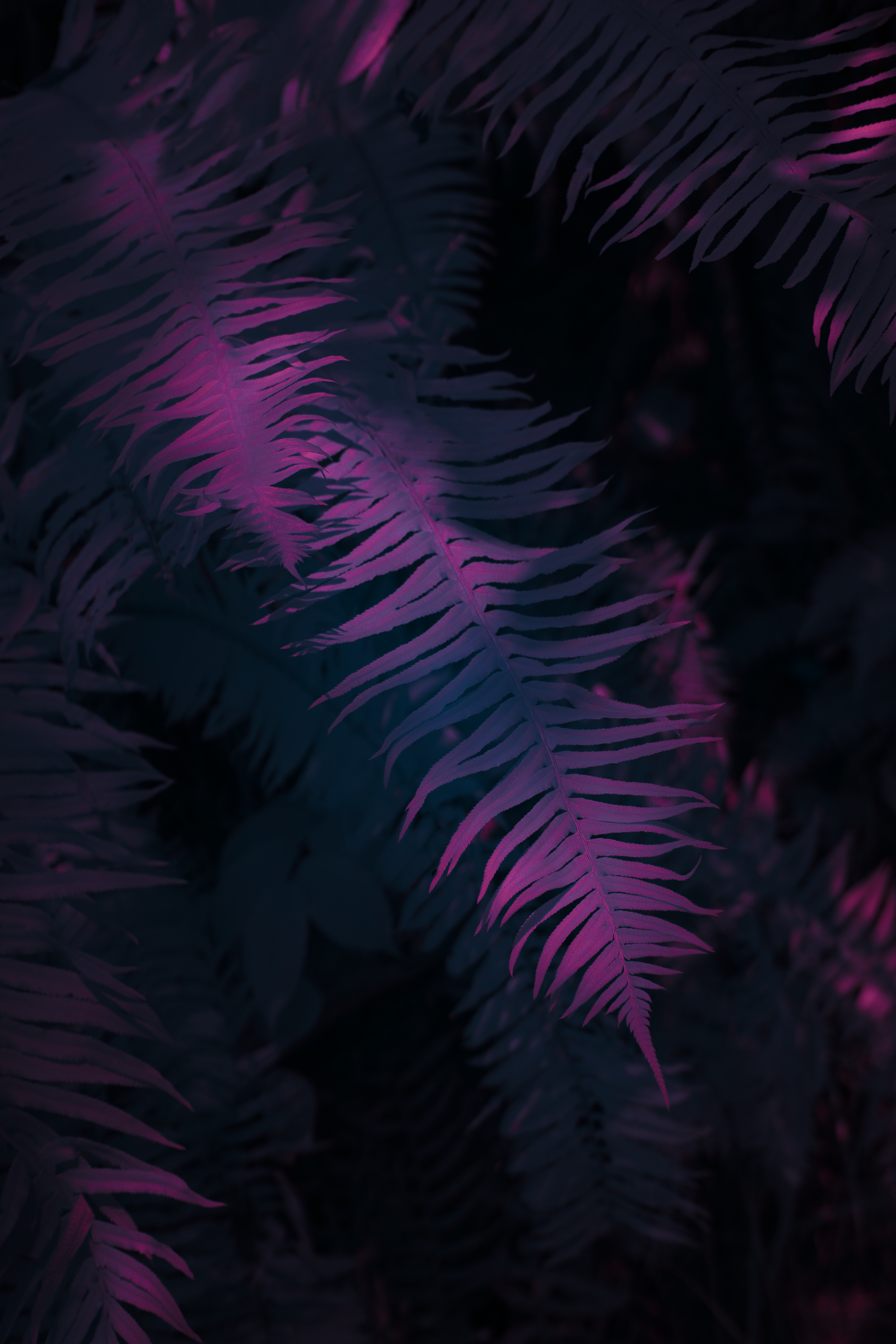 INVISIBLE EARTH 010 //