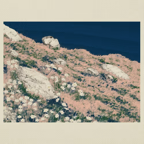 Coast #16