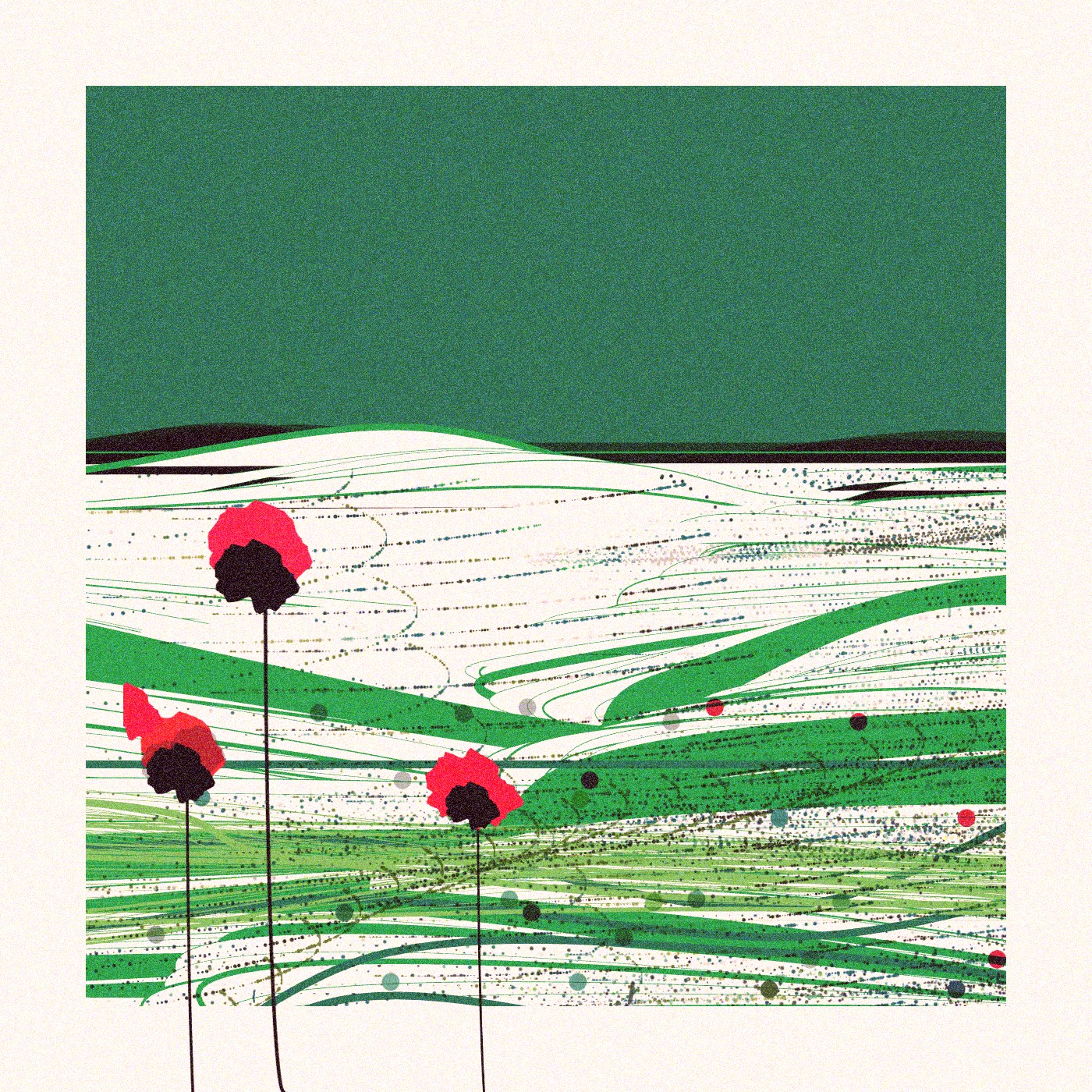 Poppies of Normandy