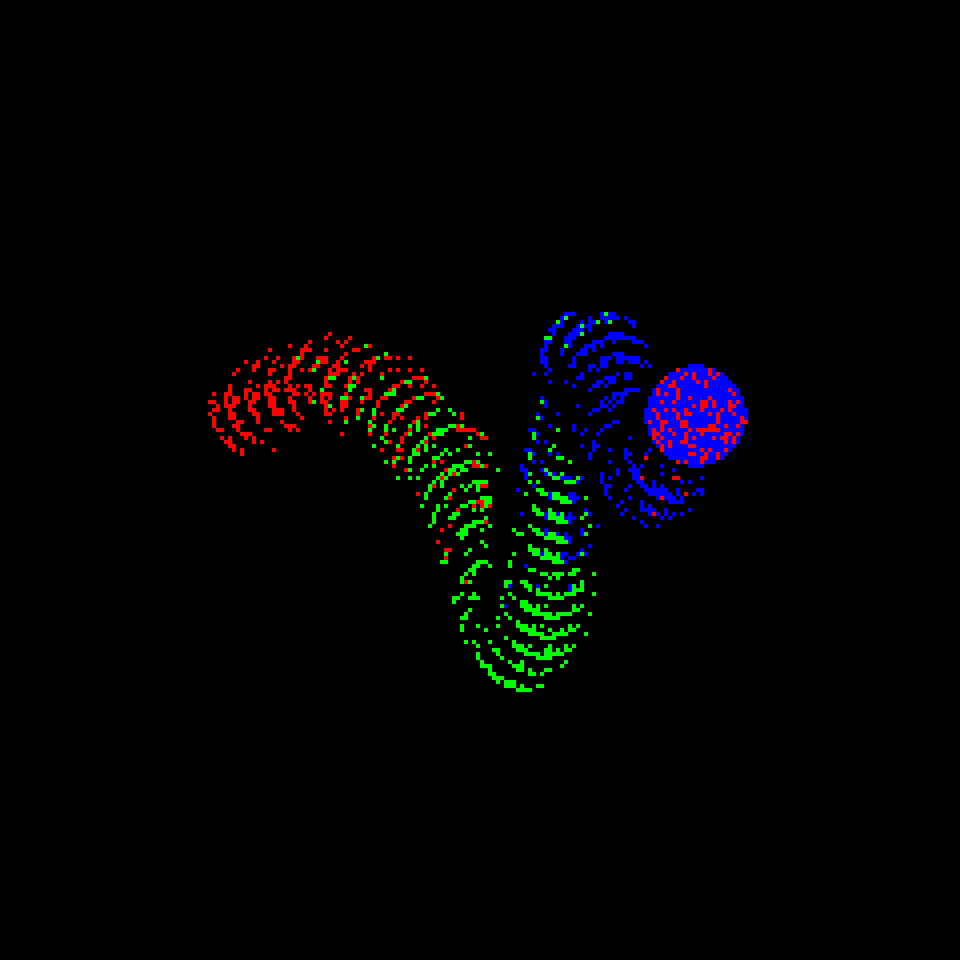 Neo Squiggle #4339
