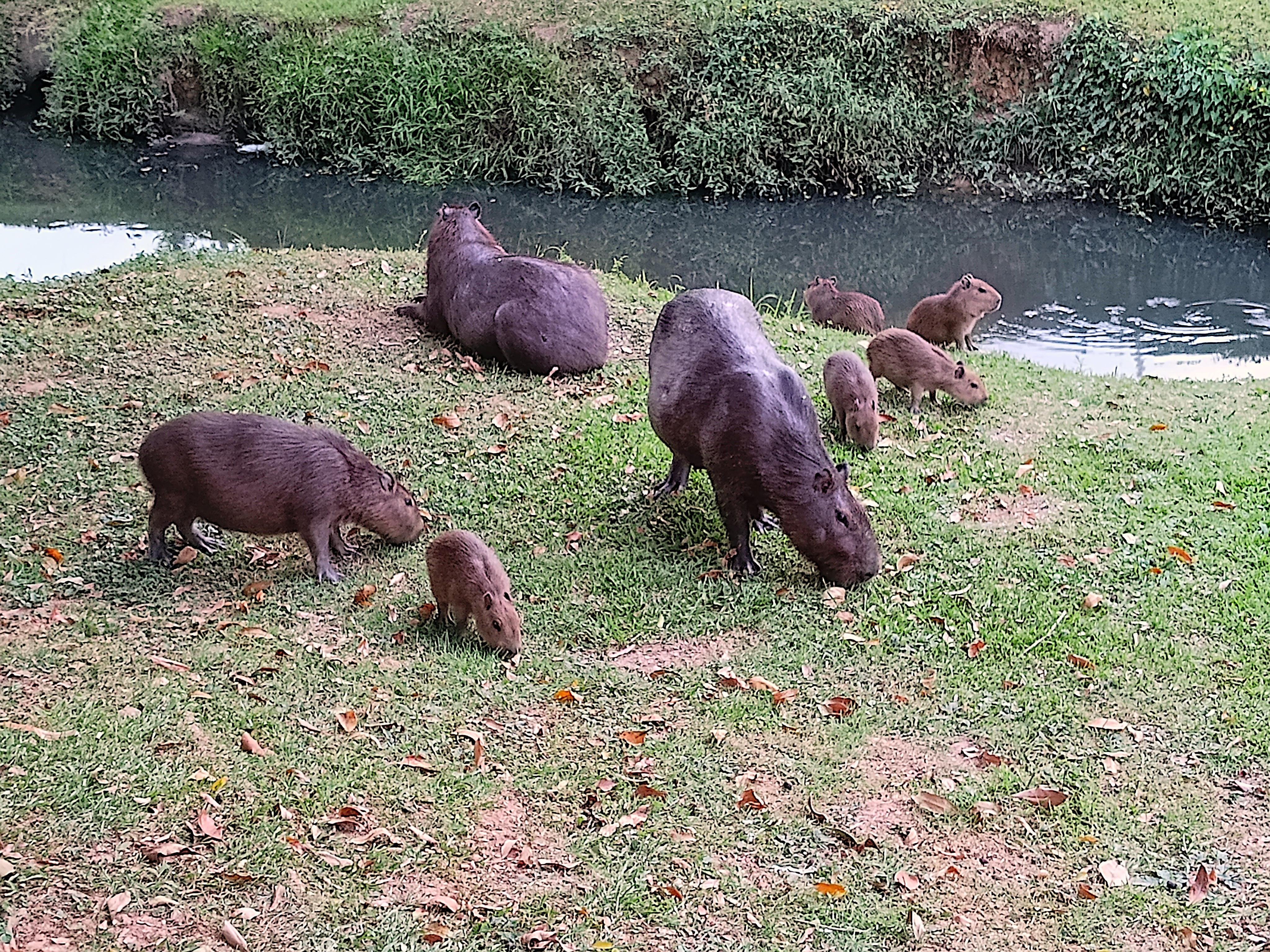 Hanging out with family