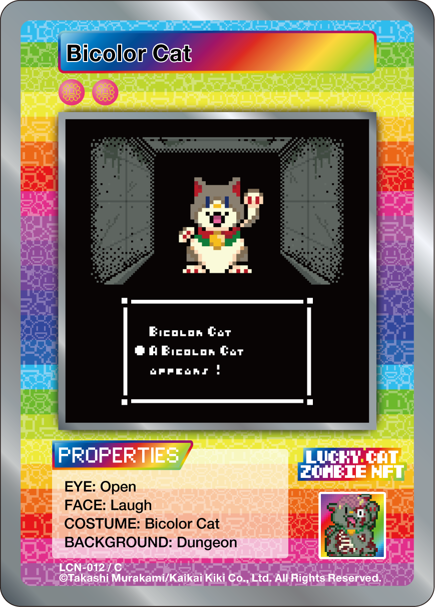 Bicolor Cat