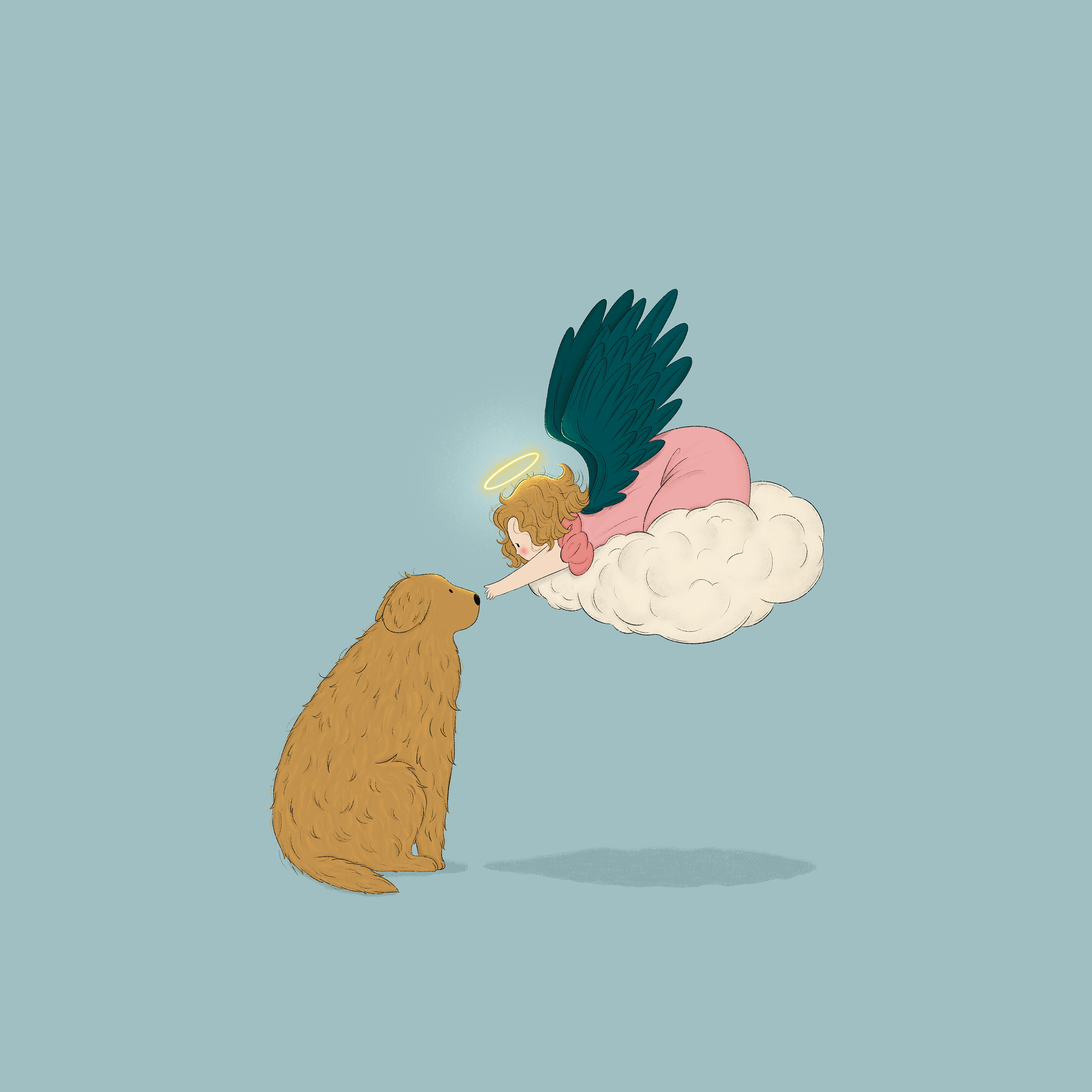Paws and Wings
