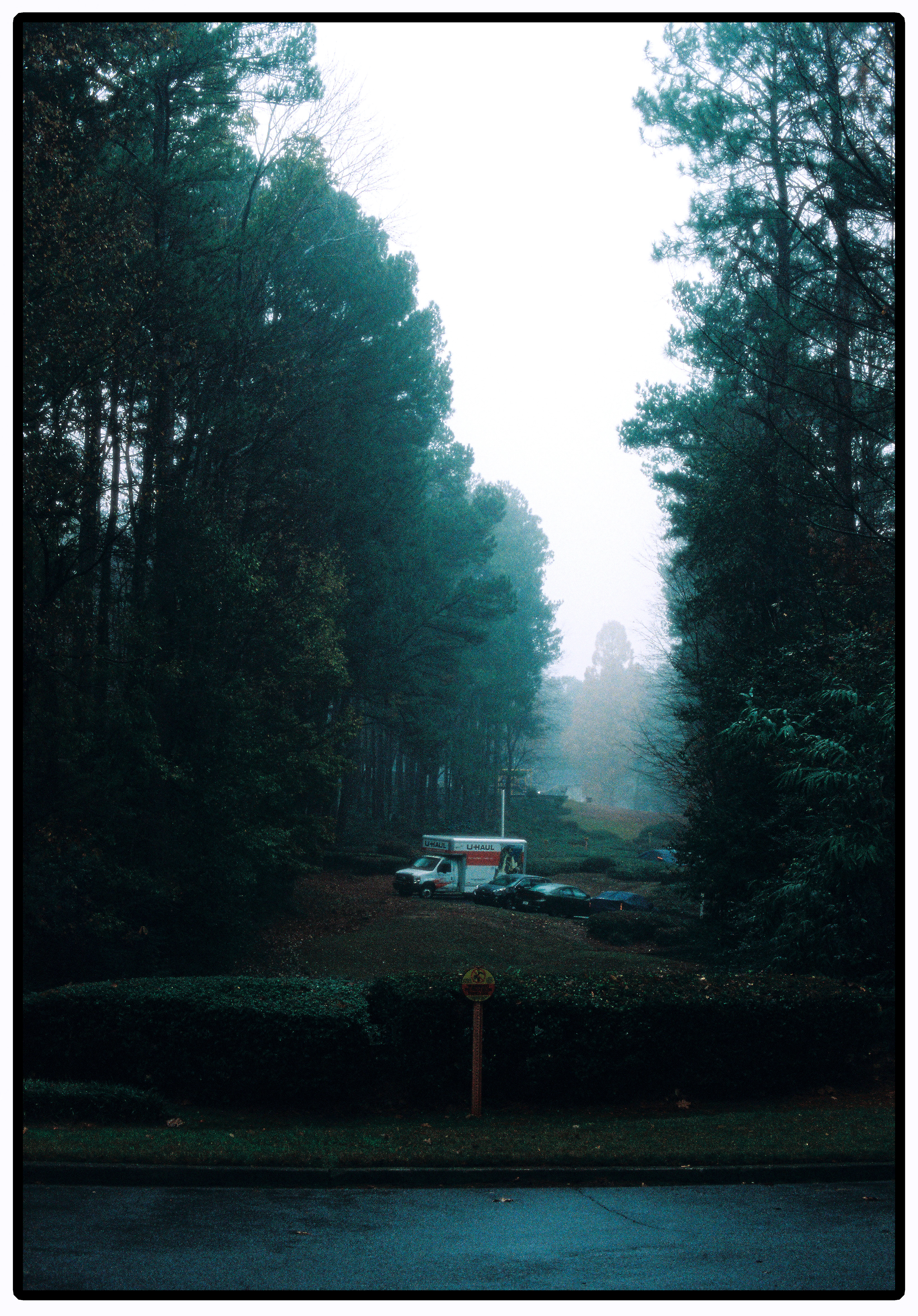 Echo in Silence