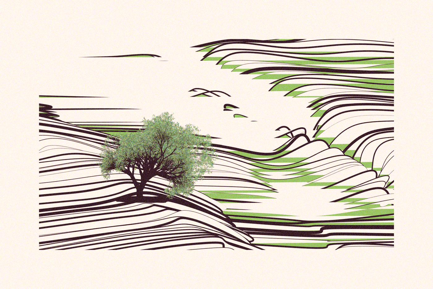 A tree in the distance