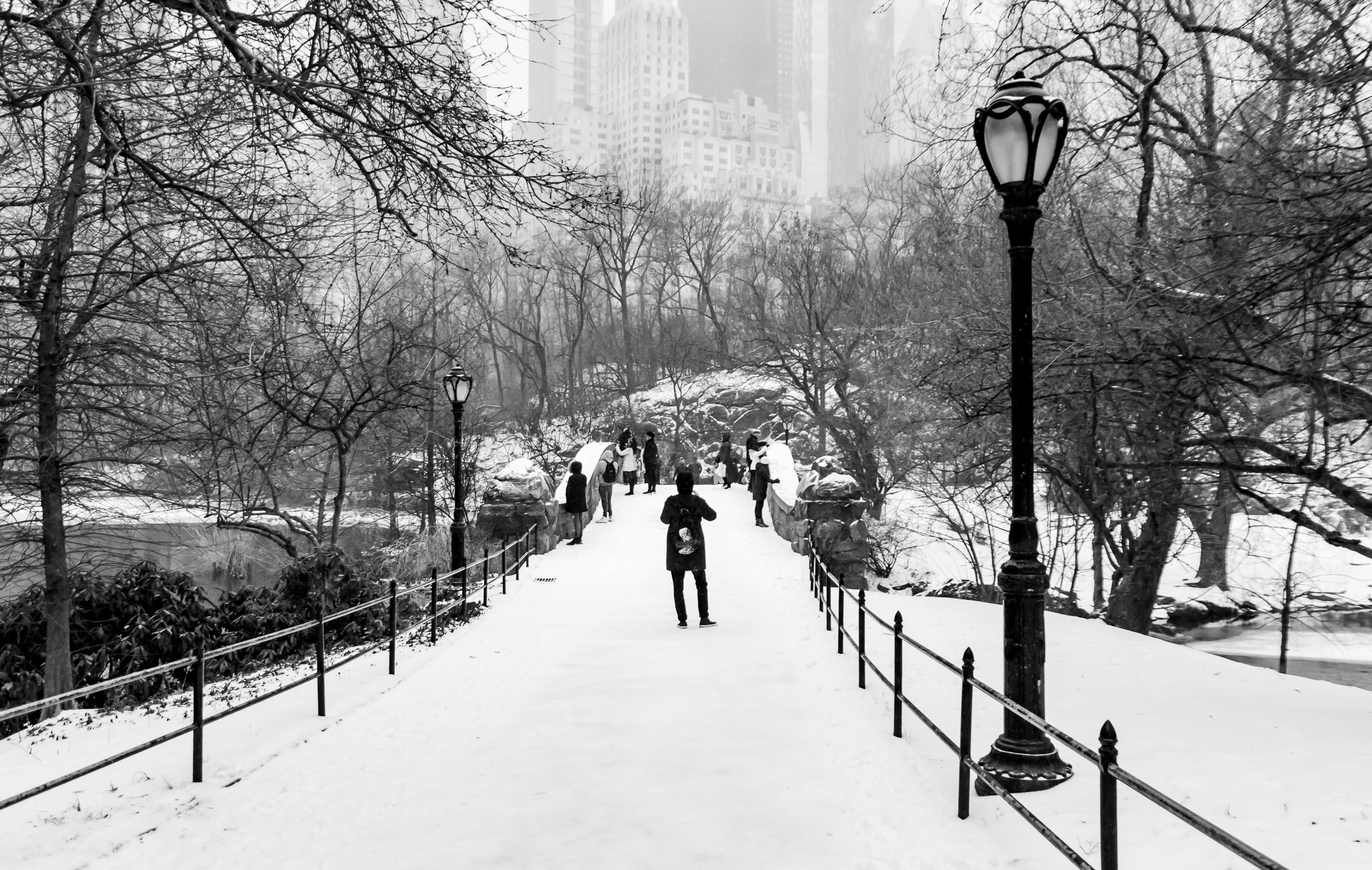 Snowy Scene in Central Park