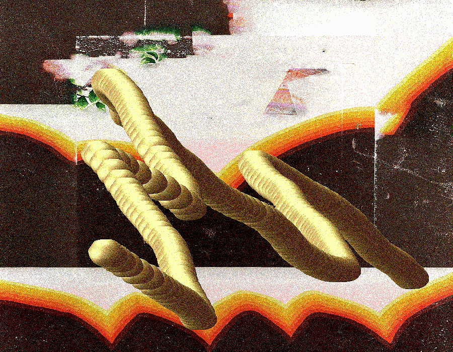 Advance worm